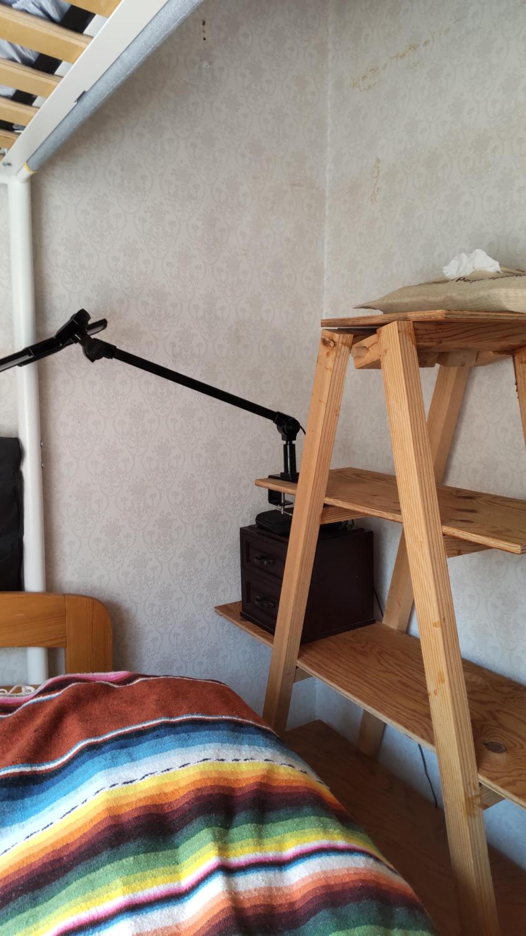 Photo 61