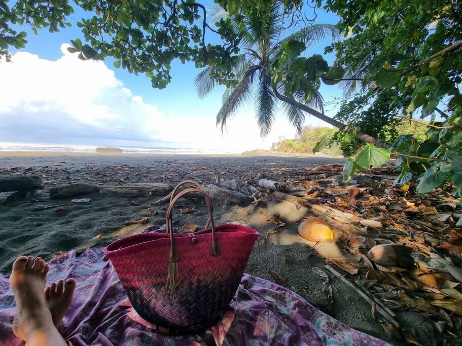 Villa Amor del Mar with Breathtaking View of Ocean & Jungle