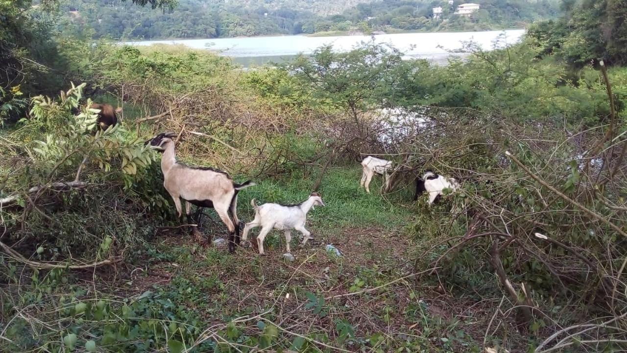 Photo 45