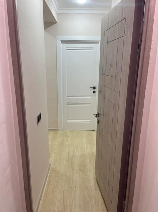 Luxury Apartment In City Center Near Republic Square