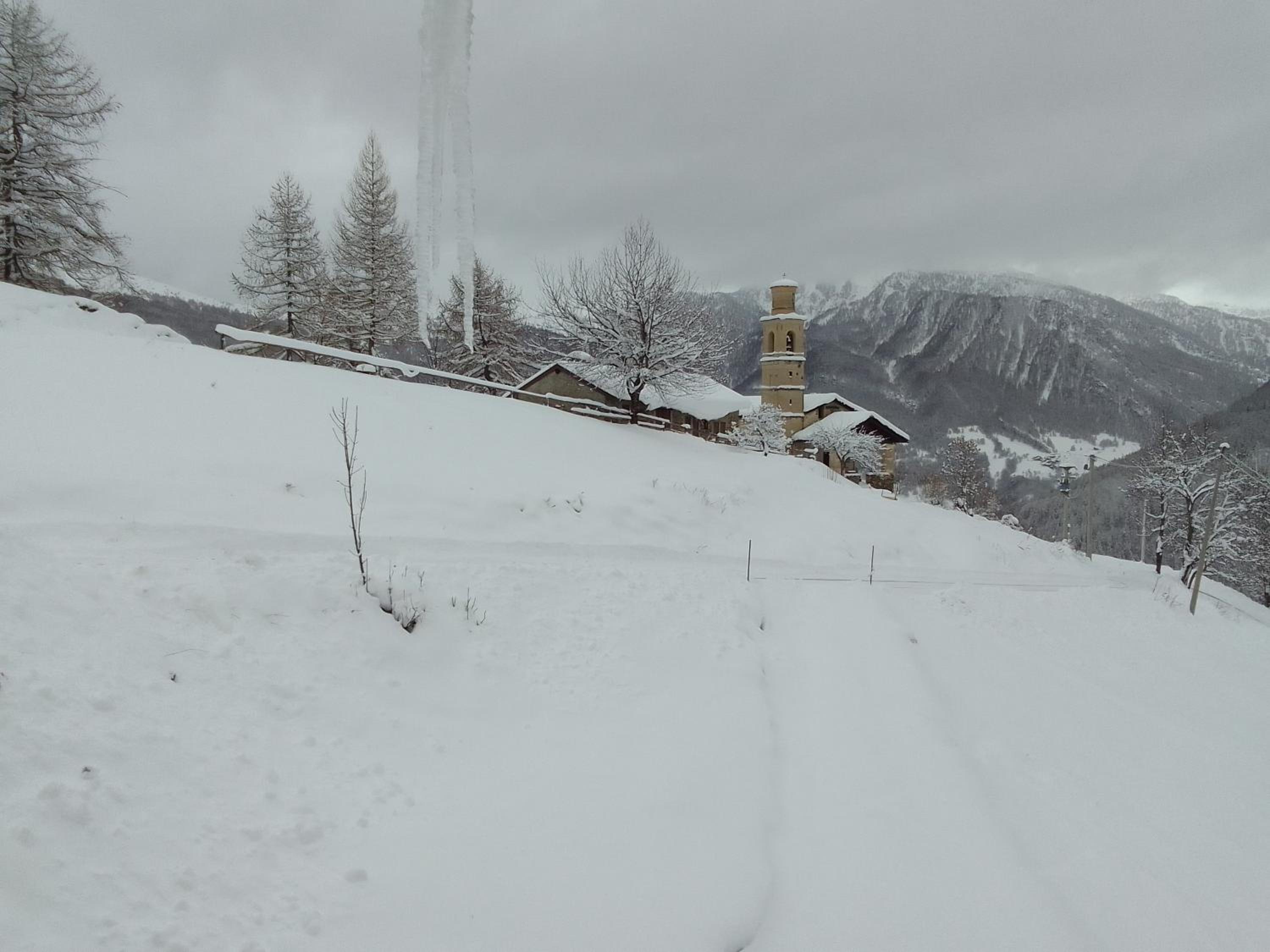 Photo 44
