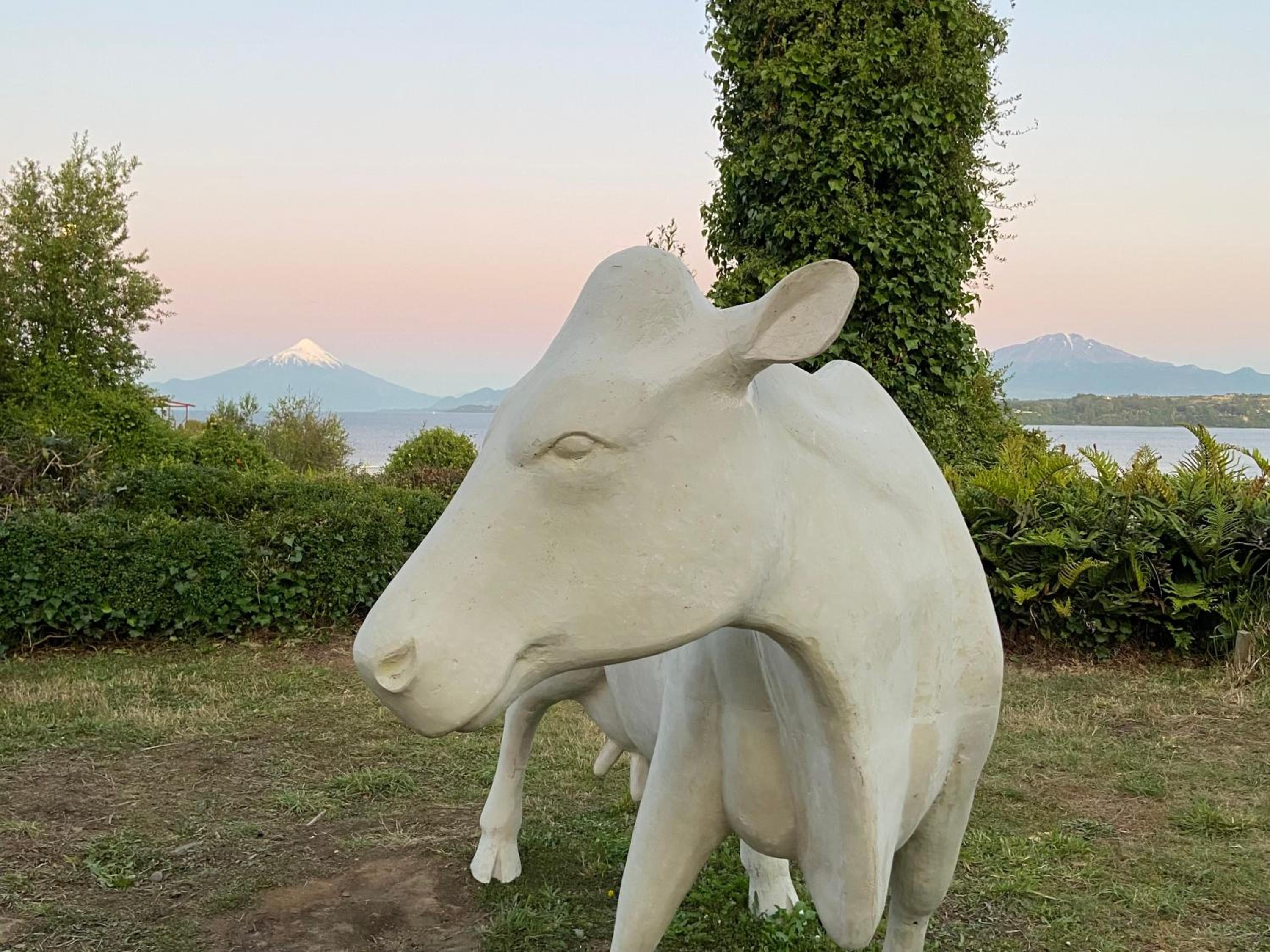 Puerto Varas, Departamento céntrico dos personas Yourhomepv