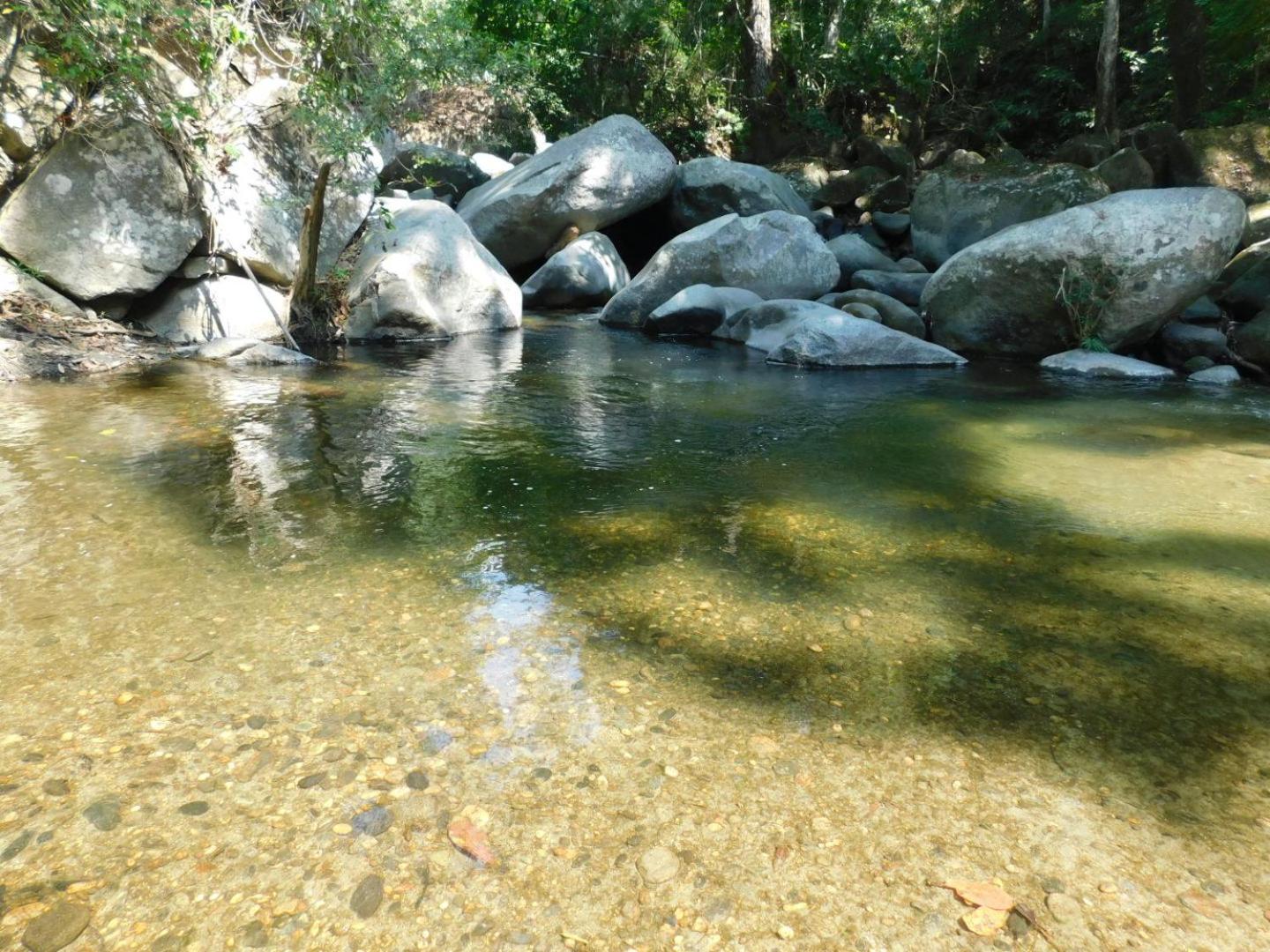 Sierra Jungla