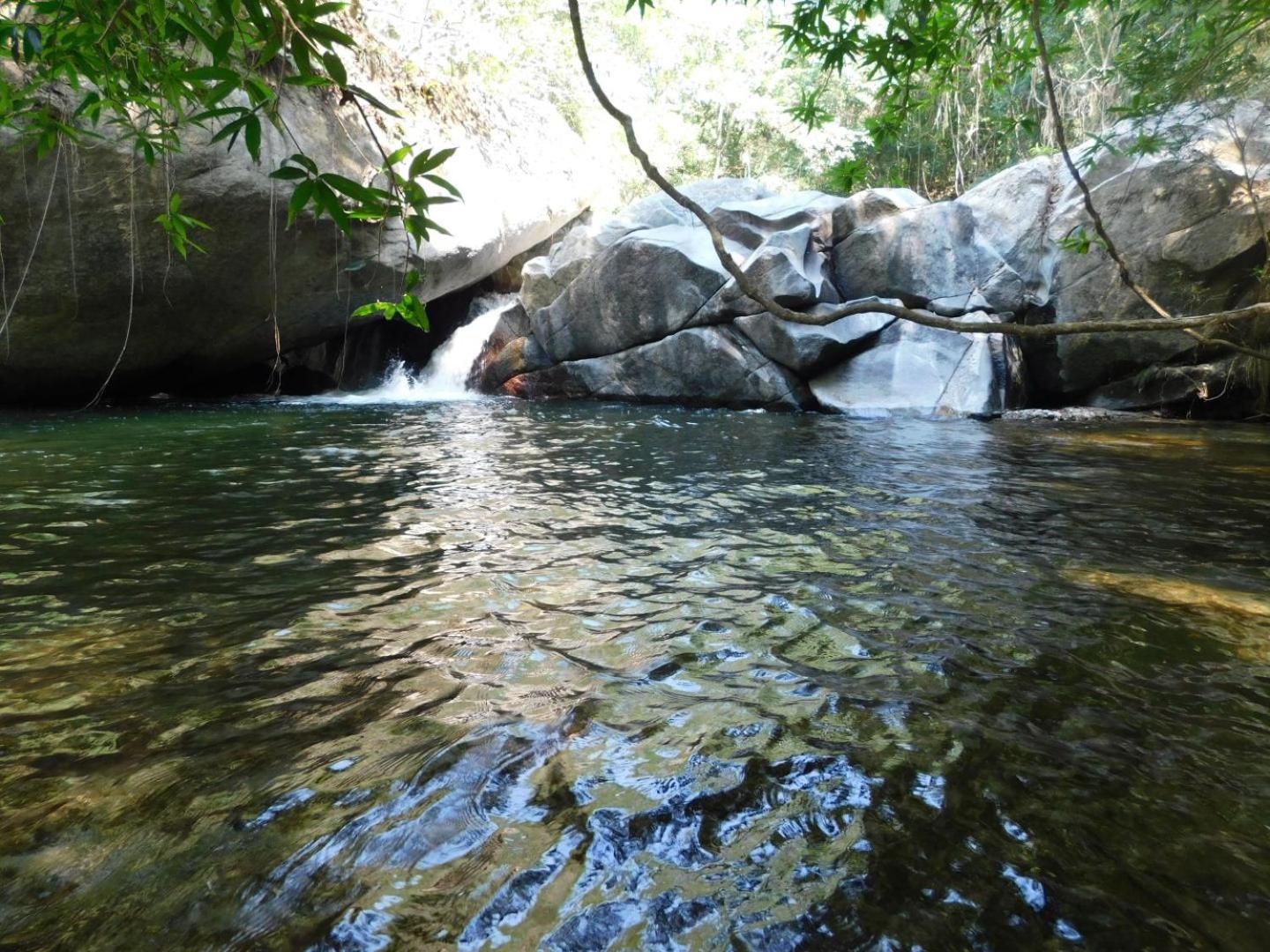 Sierra Jungla
