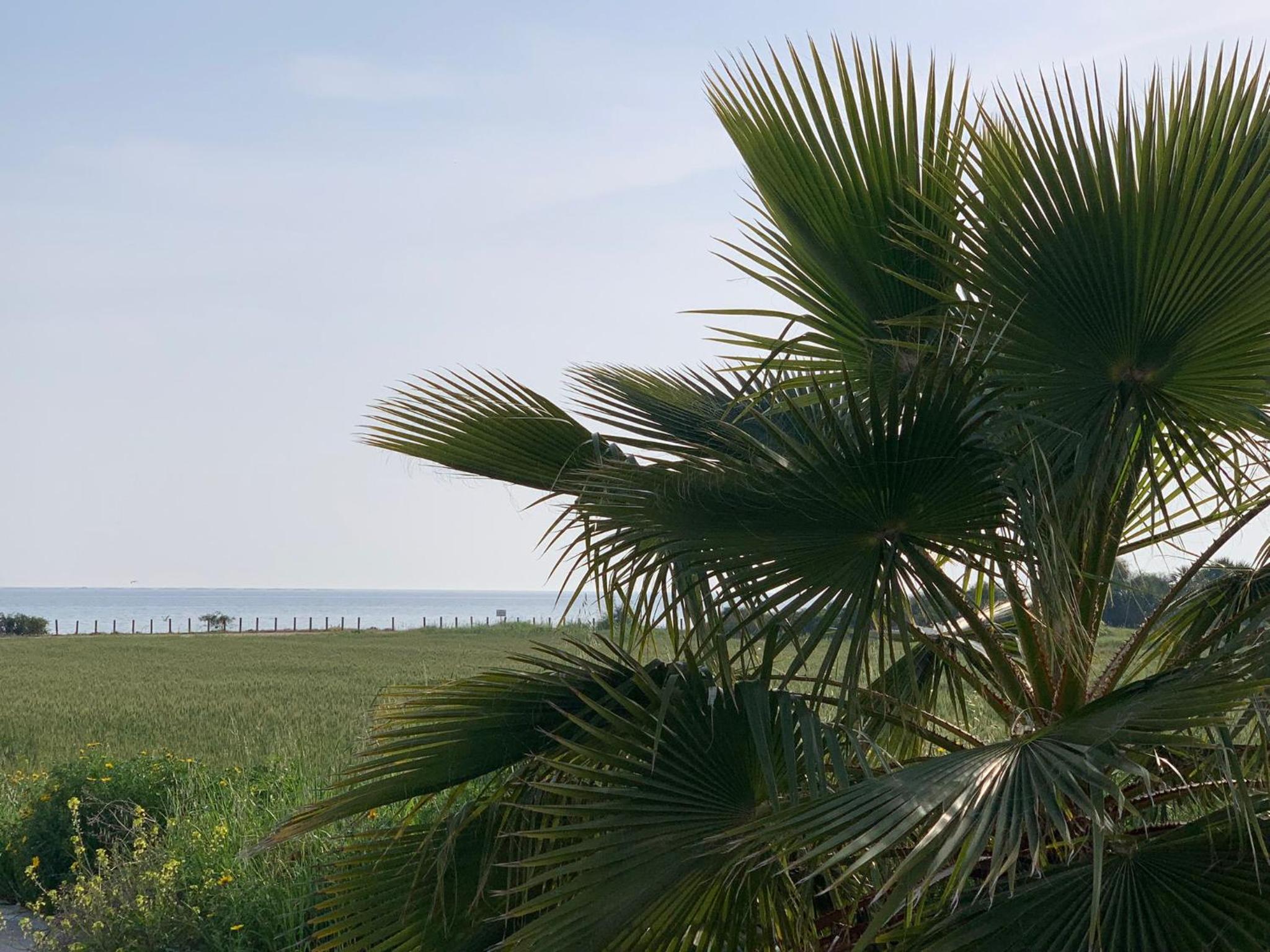 Sunset Sea View Villa