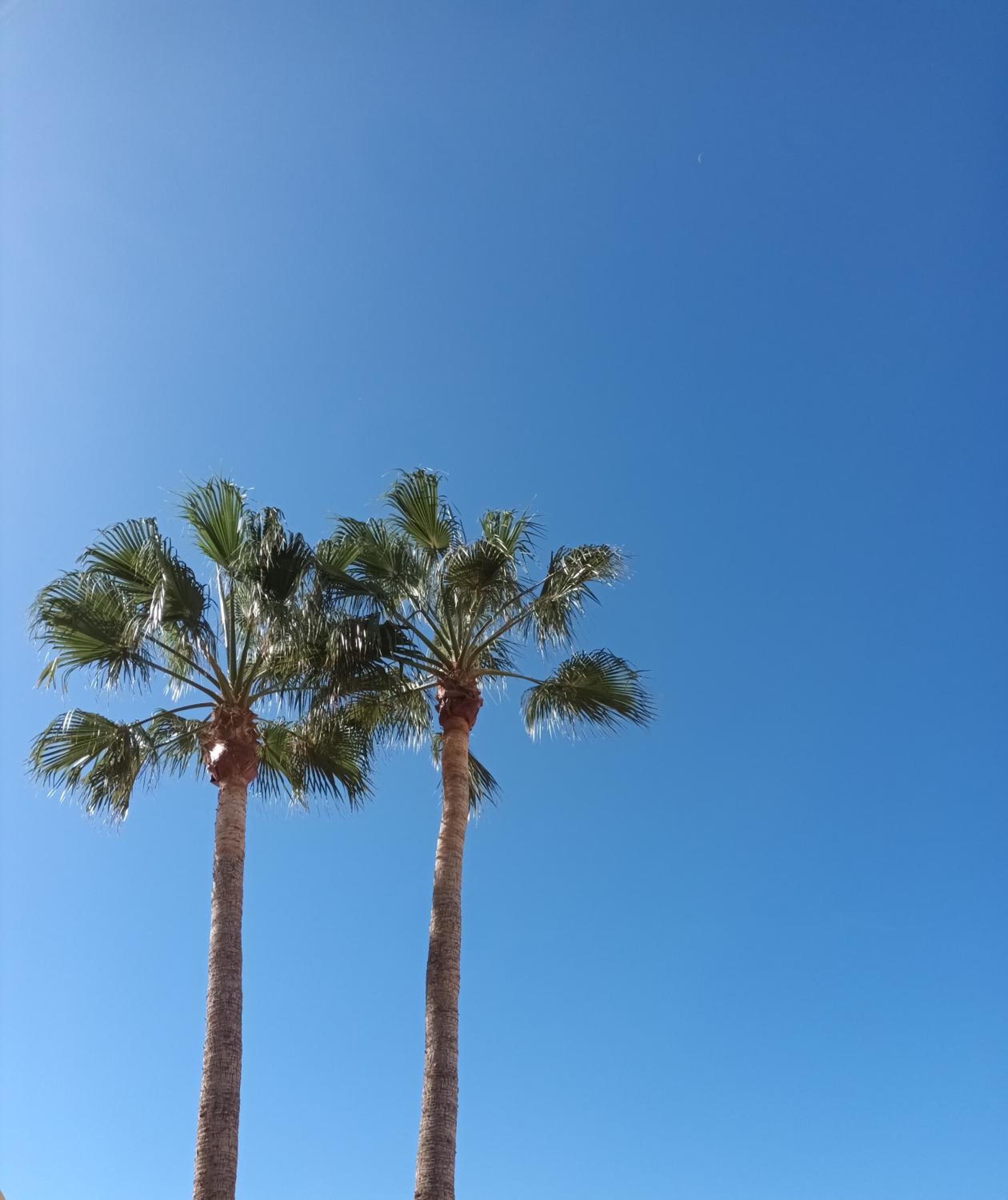 Great oportunity Costa Adeje Holiday apartment first sea line Free Wifi