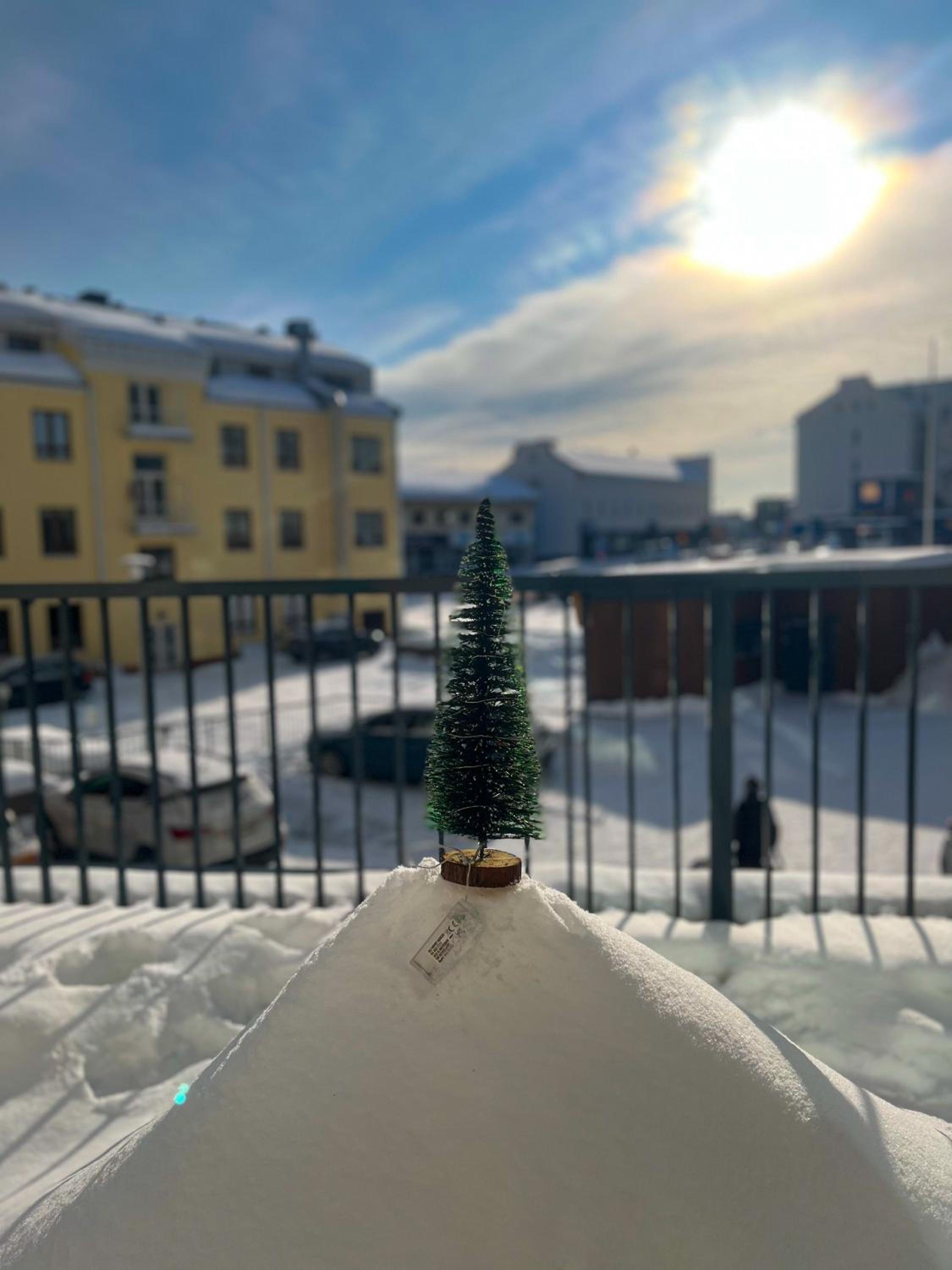 Winter Arctic apartment