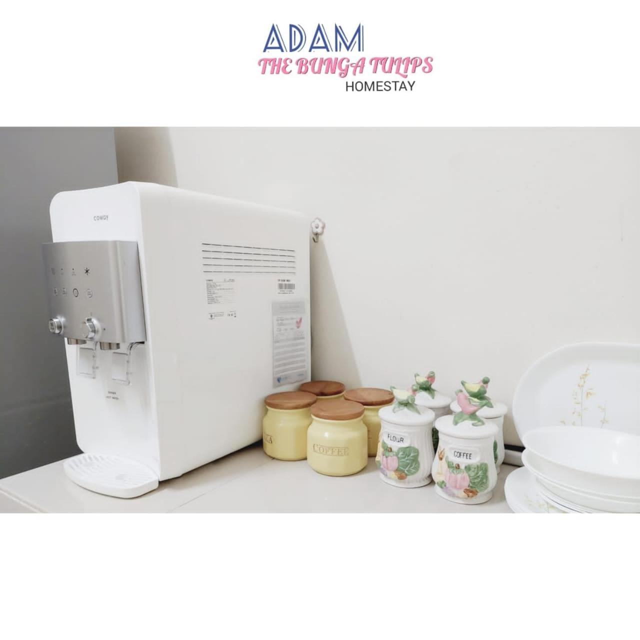 AdamPoolHomestay
