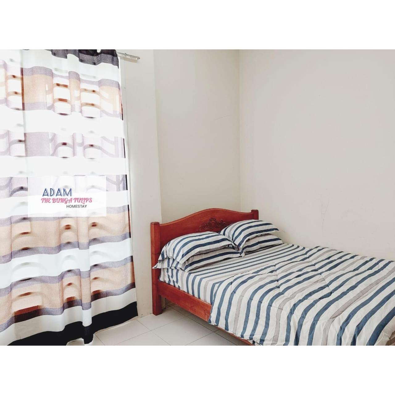 AdamPoolHomestay
