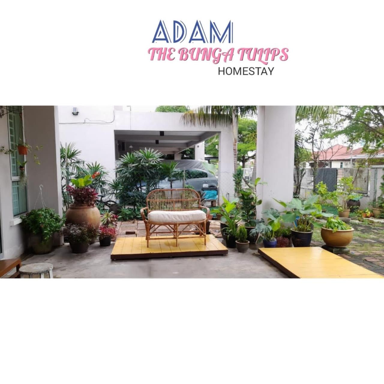 AdamPoolHomestay