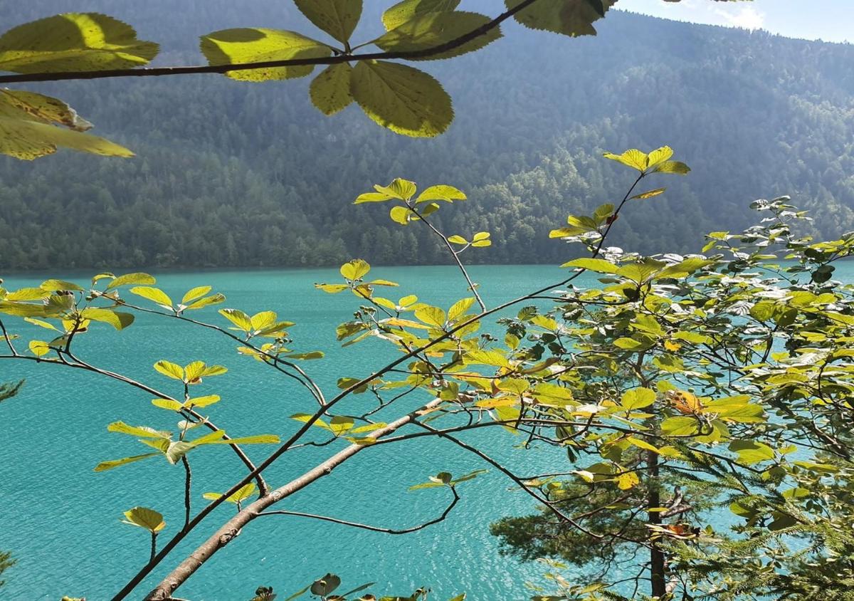 Haus Kraller-Urlaub mit Seeblick