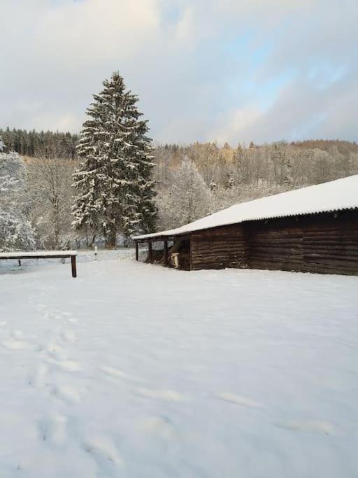 Charmante maison de caractère à 2Km de Redu