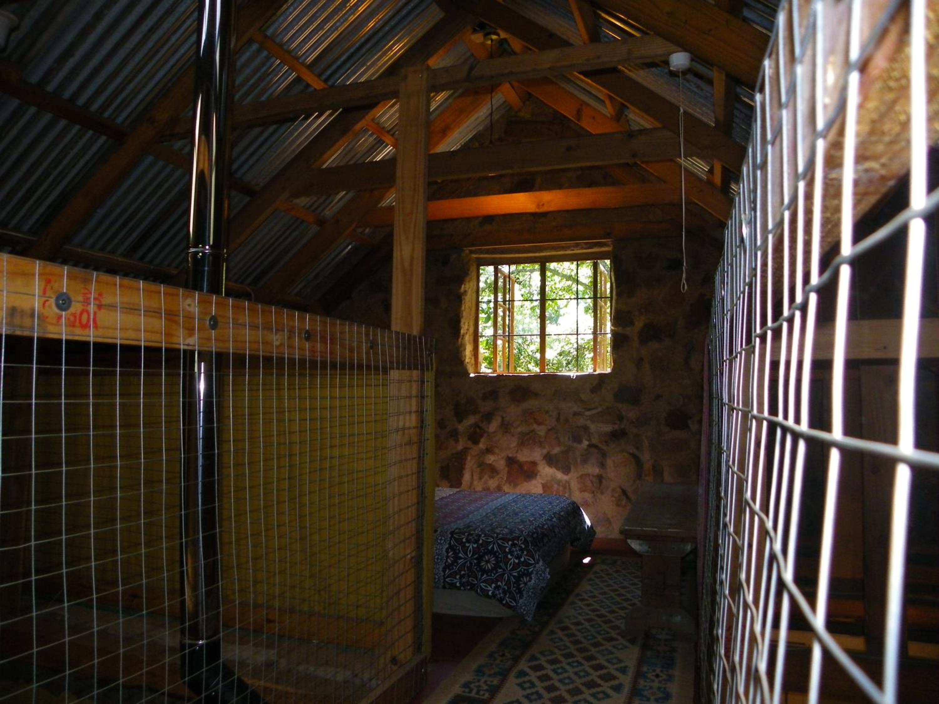 Photo 36