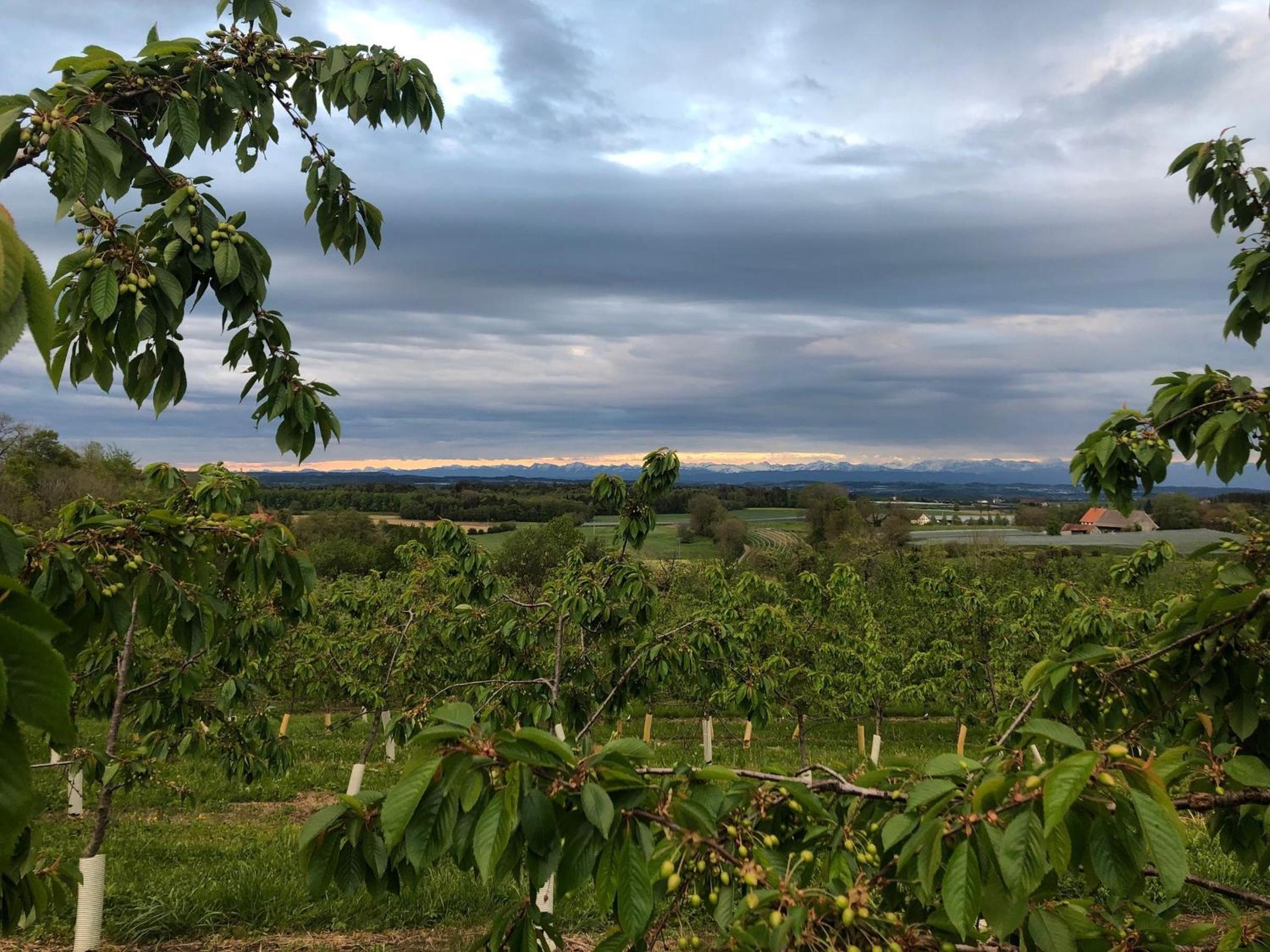 Bodensee Oberschwaben