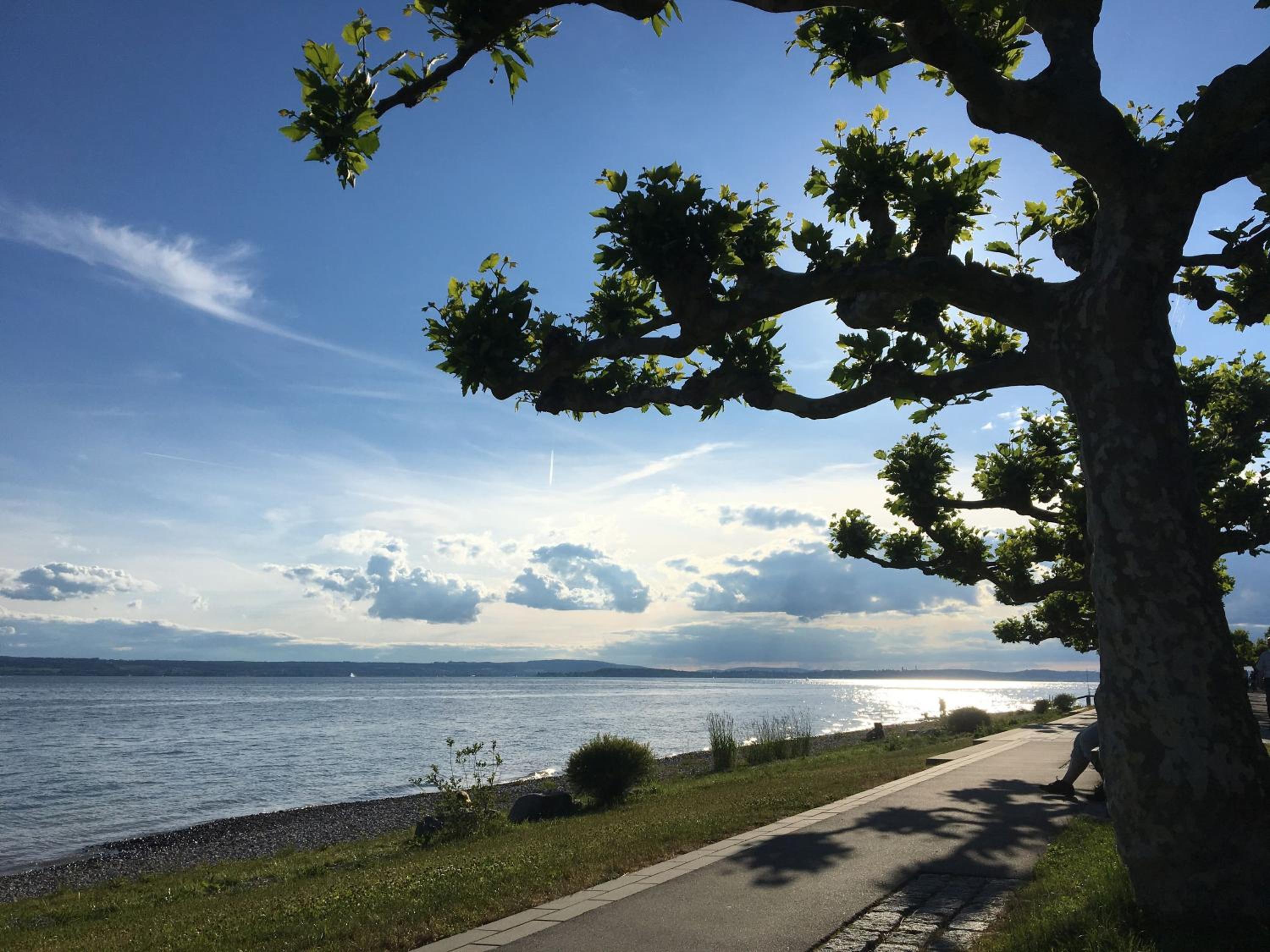 Bodensee Oberschwaben