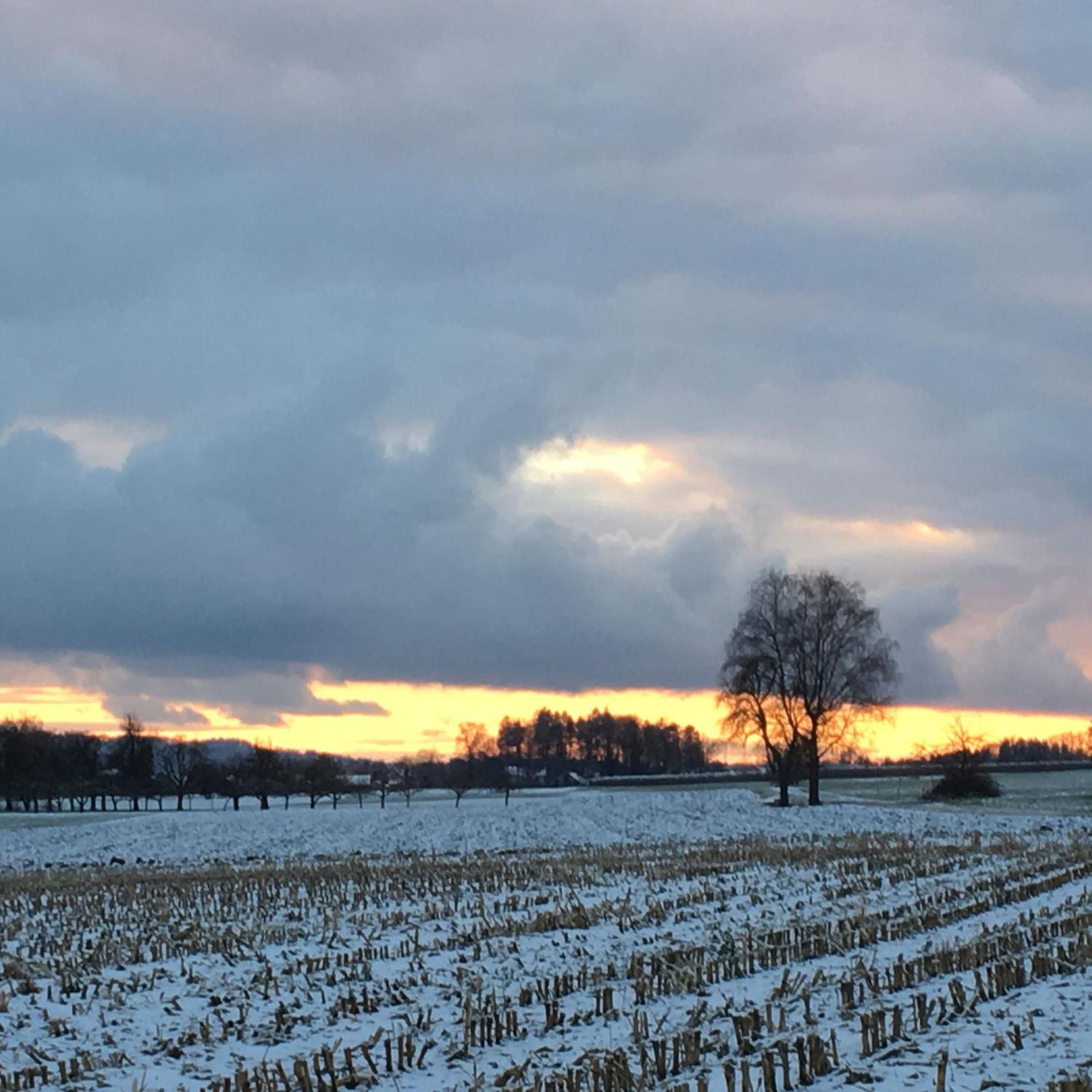 Bodensee Oberschwaben