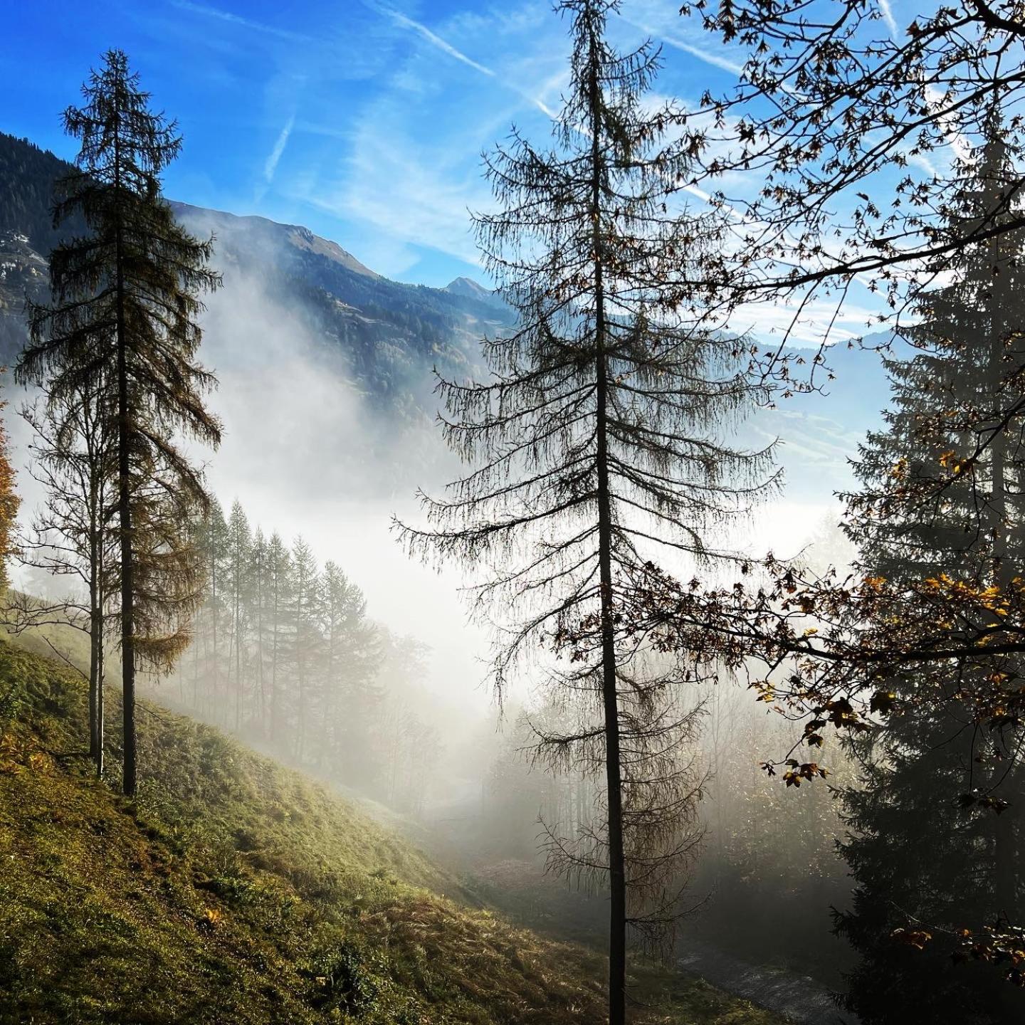 Chalet Franzi - Ruhiges Chalet mit Bergblick, Garten und gratis Eintritt ins Solarbad