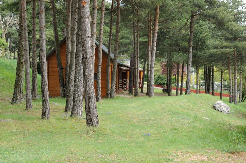 Camping Fontfreda view 4