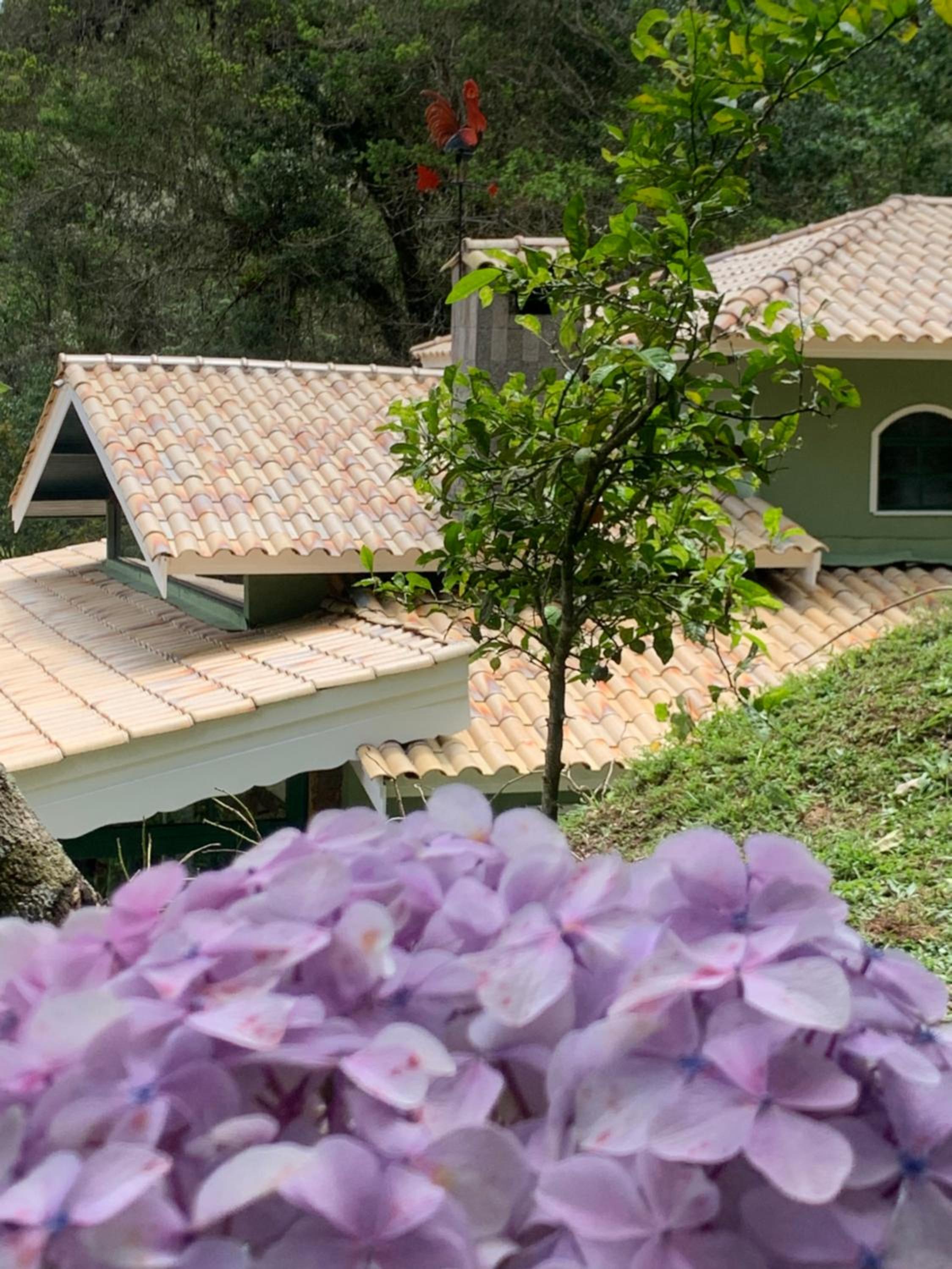 Petite Maison - Dona Belandira
