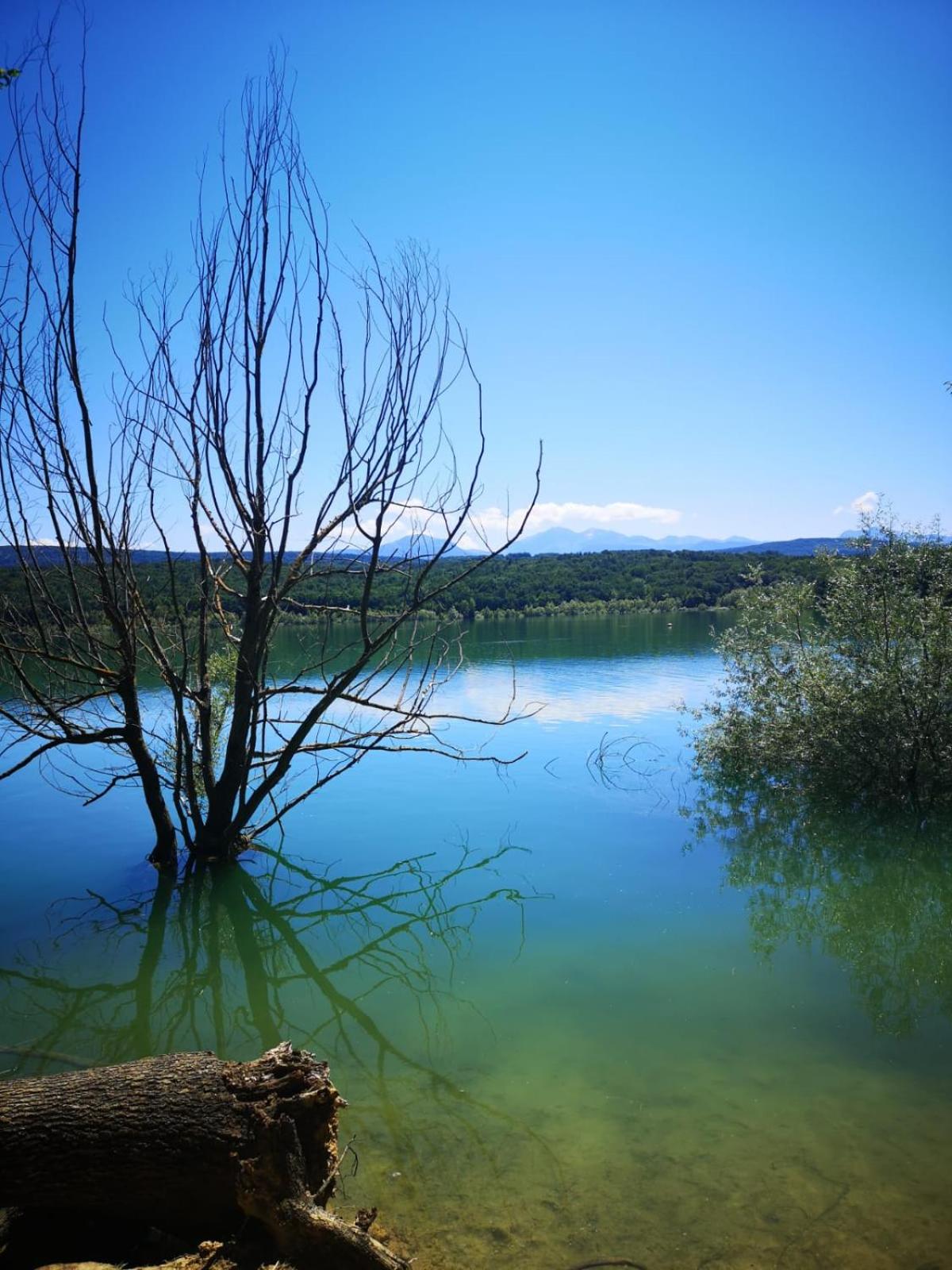 Terres de Barréjat