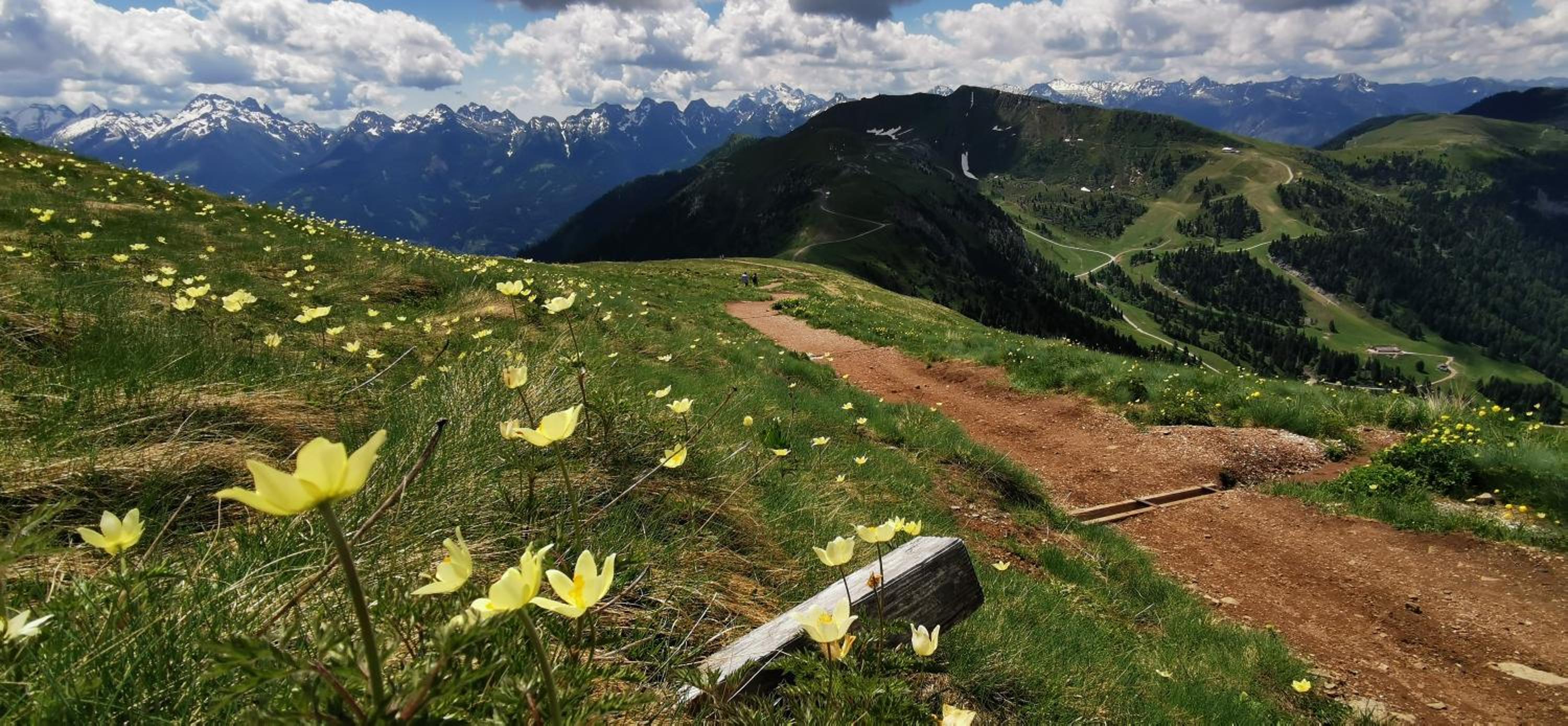 Bilocale Nel Cuore Della Val Di Fiemme
