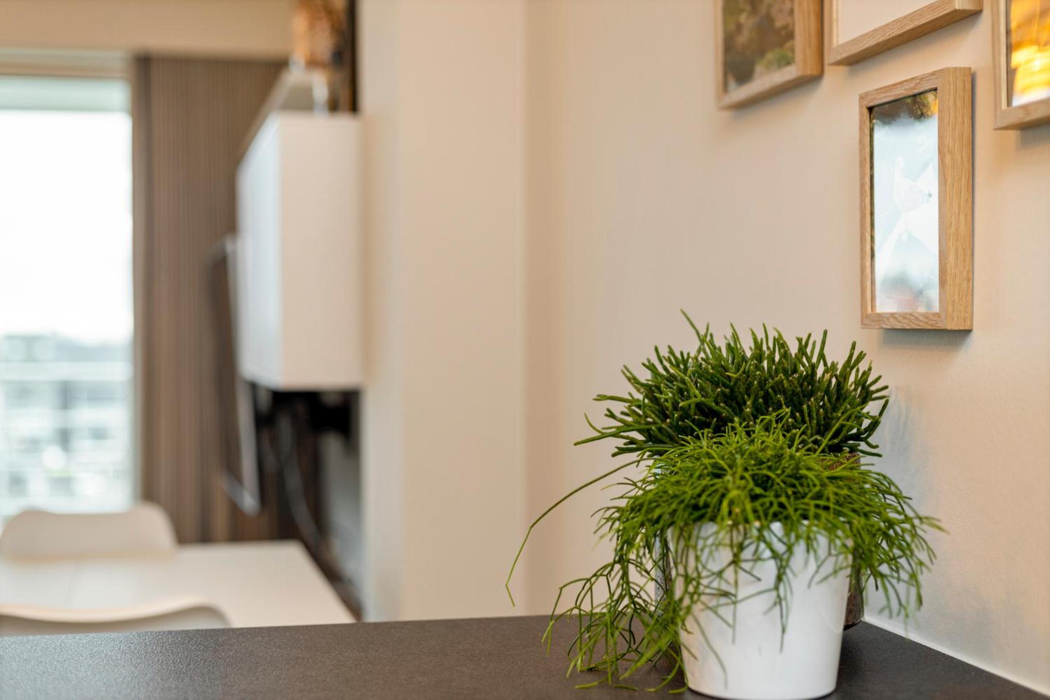 Ruim appartement aan de jachthaven