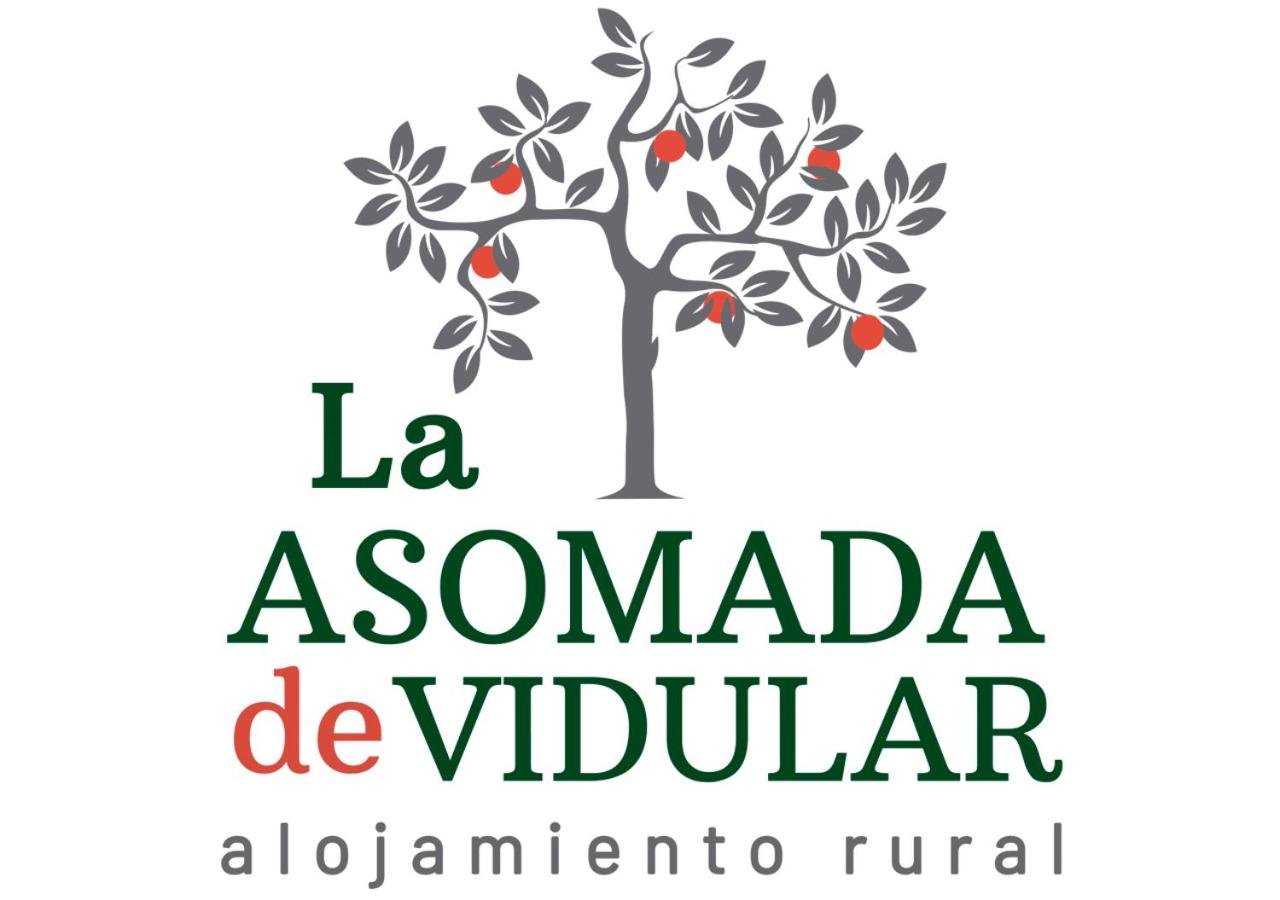 La Asomada de Vidular