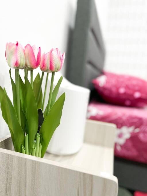 Mekming Lodging - Homestay