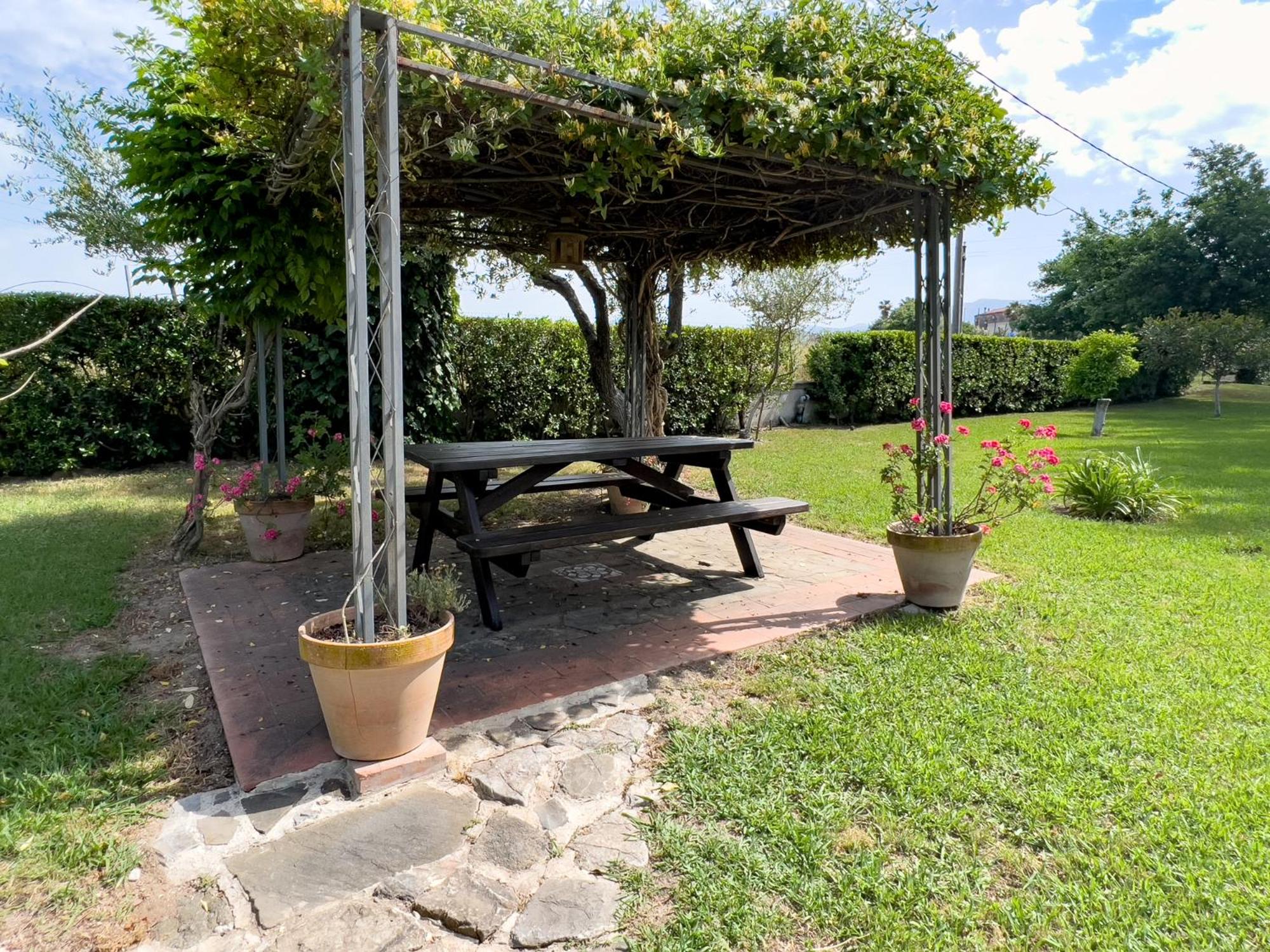 Agriturismo Terra Di Elea azienda agricola di Raimondo MIchela