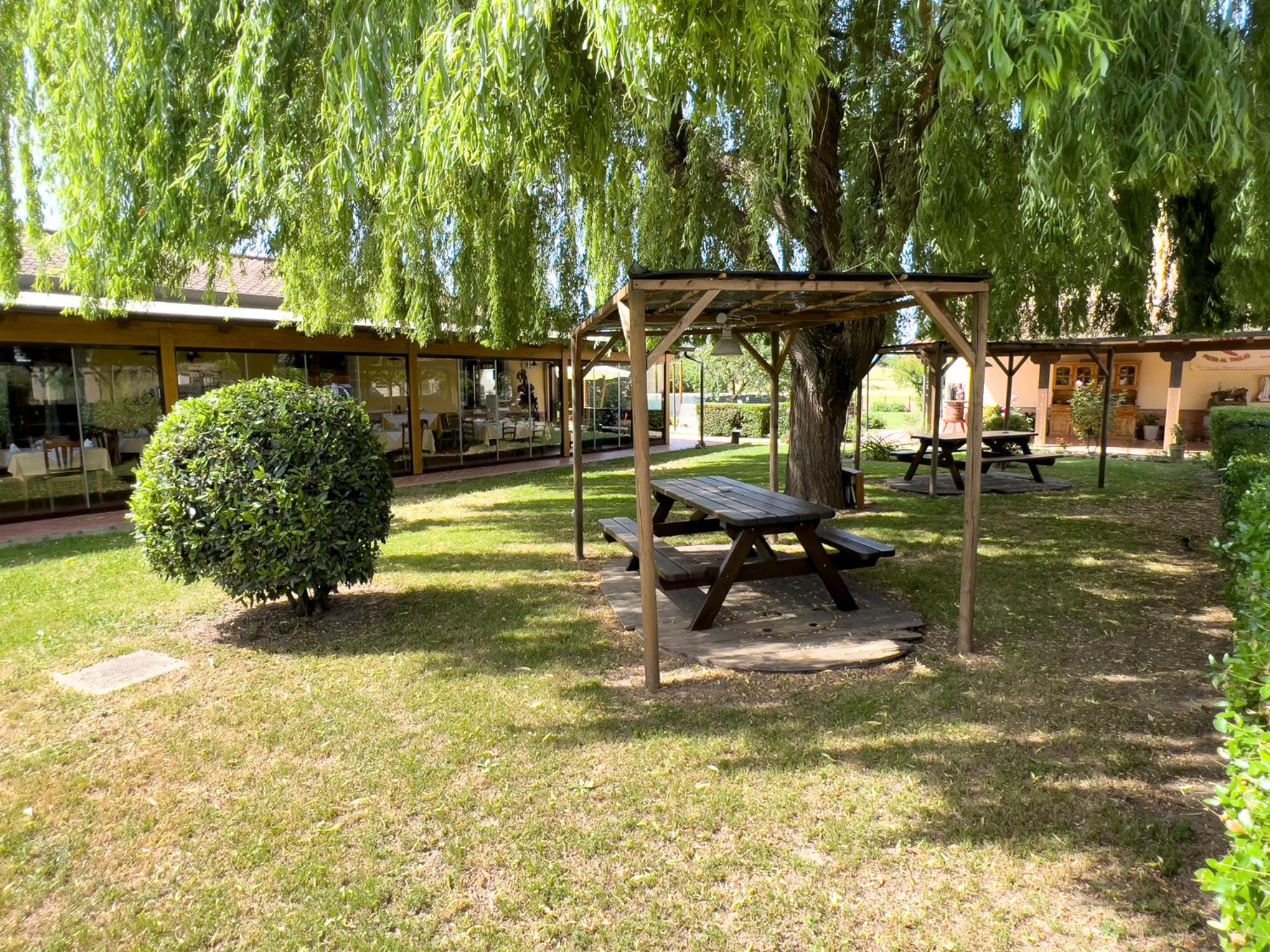 Agriturismo Terra Di Elea azienda agricola di Raimondo MIchela
