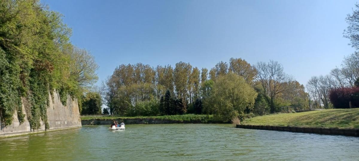 Photo 22