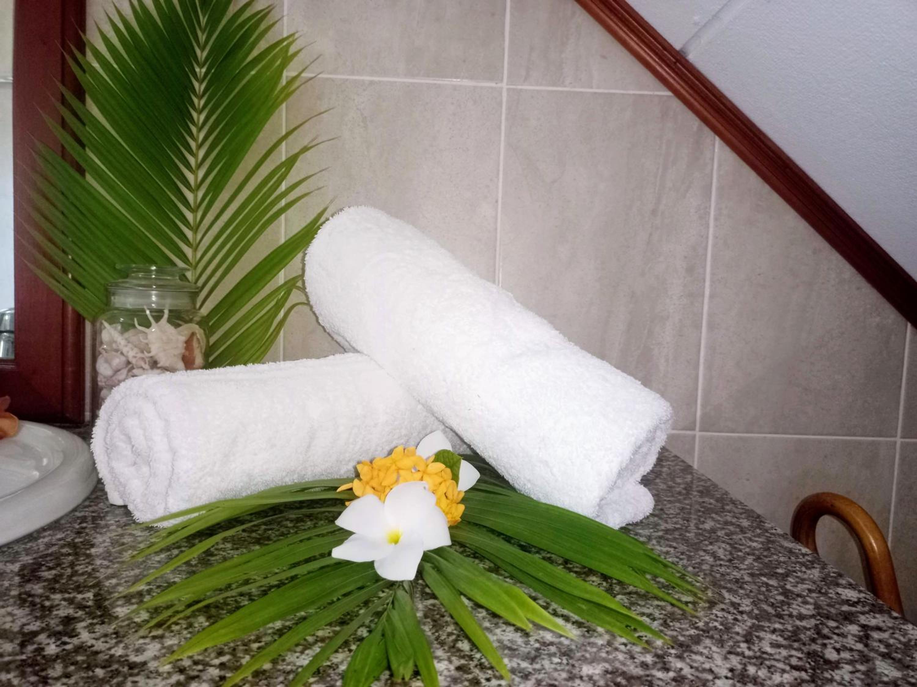 Badamier Self-Catering photo 5