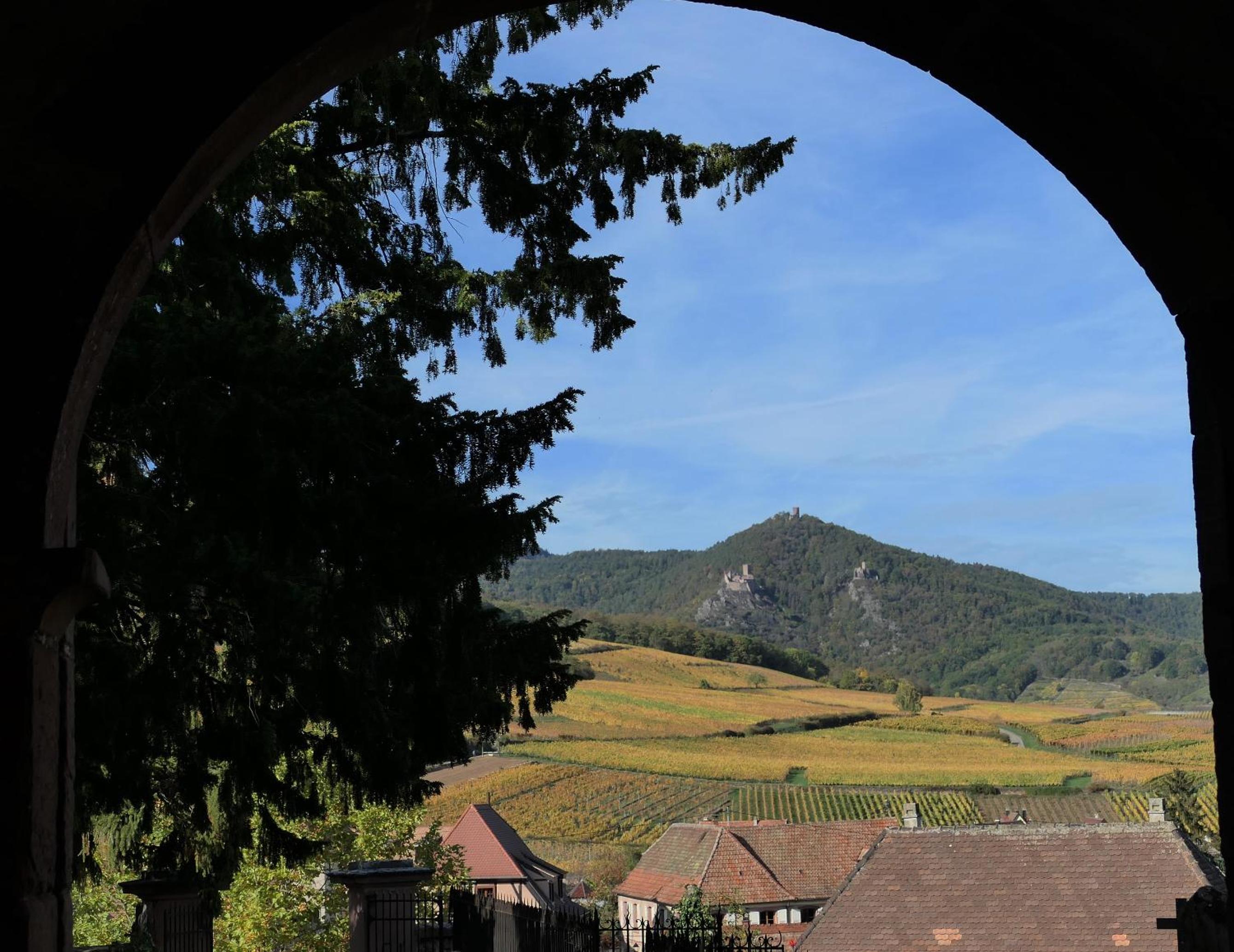 Un balcon sur les toits