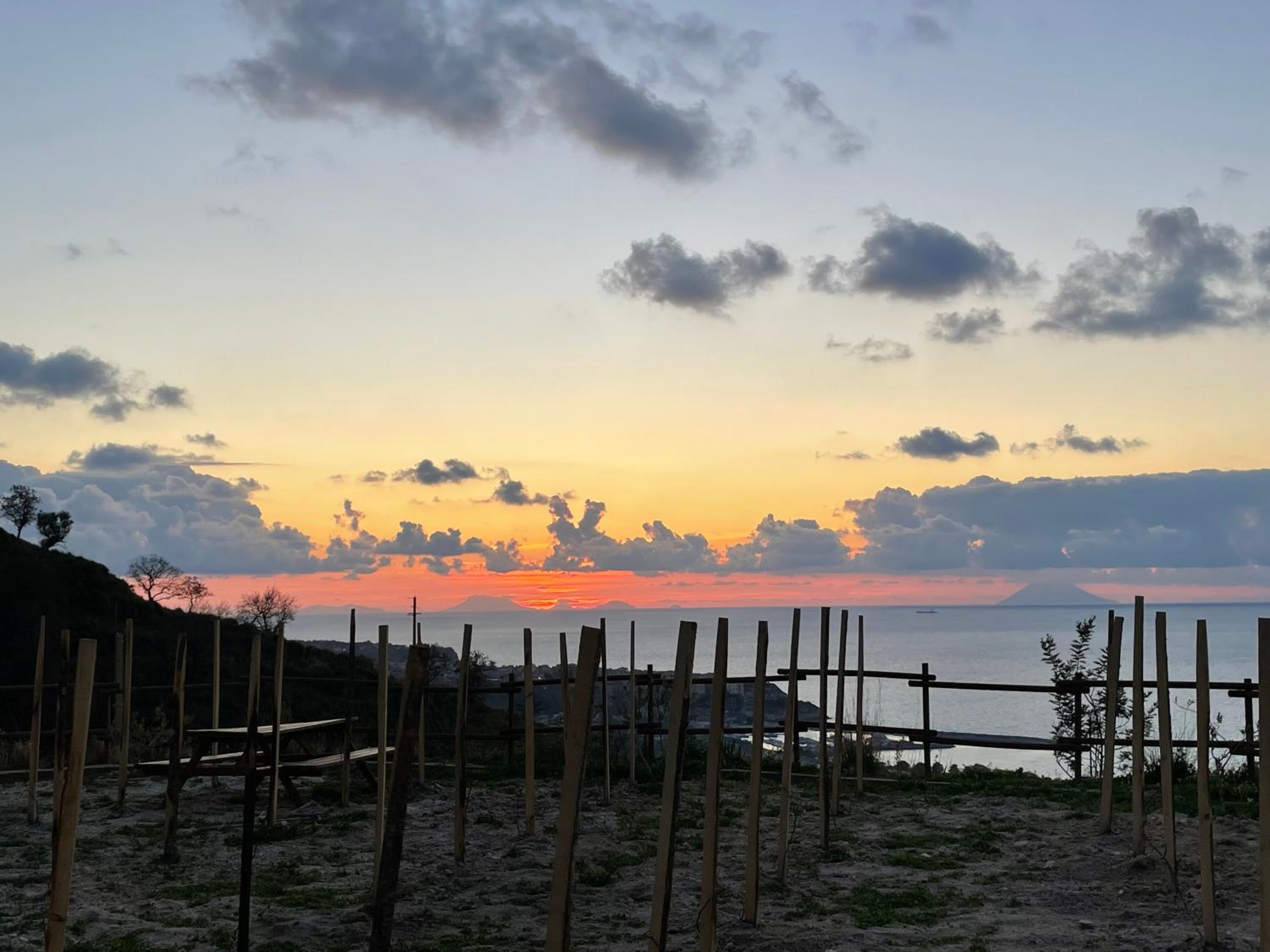 Casa Natura 40 photo 3