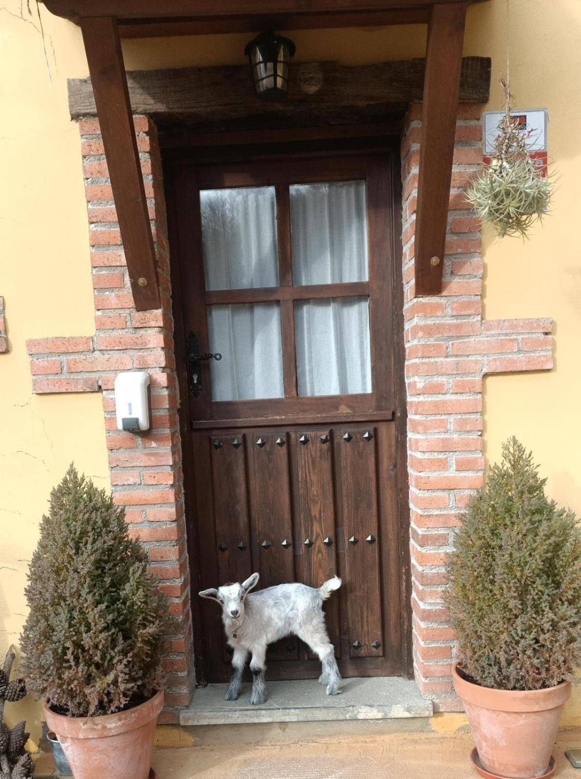 Photo 31