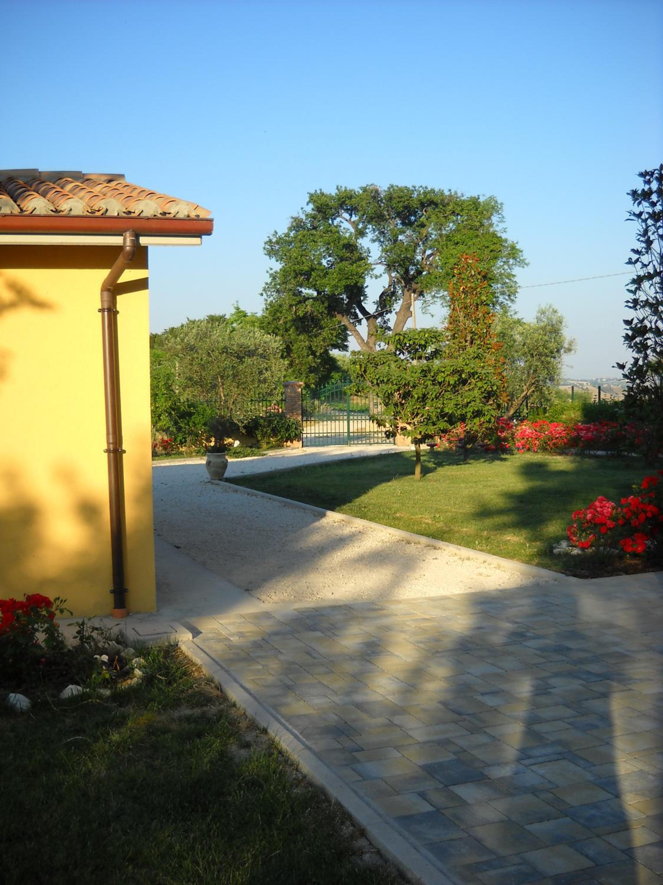 Photo 36