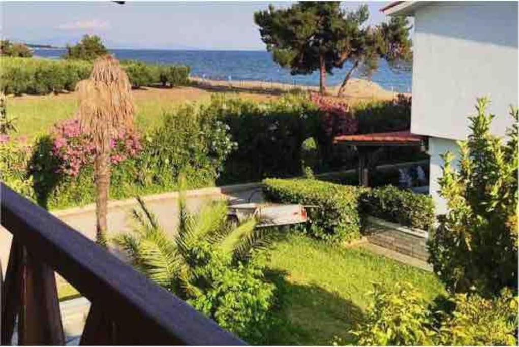 Photo 8