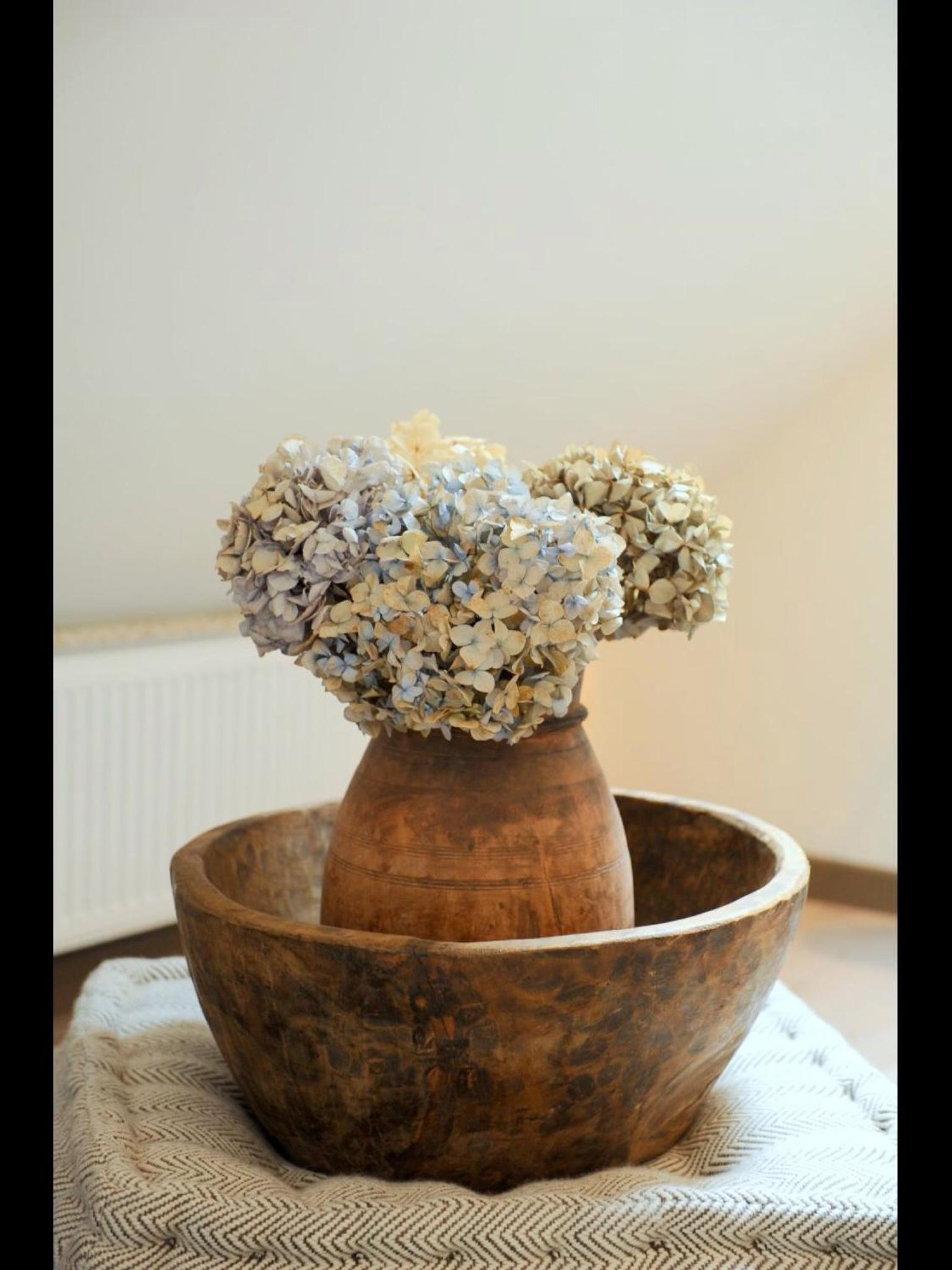 B&B De Drentse Es, photo 23