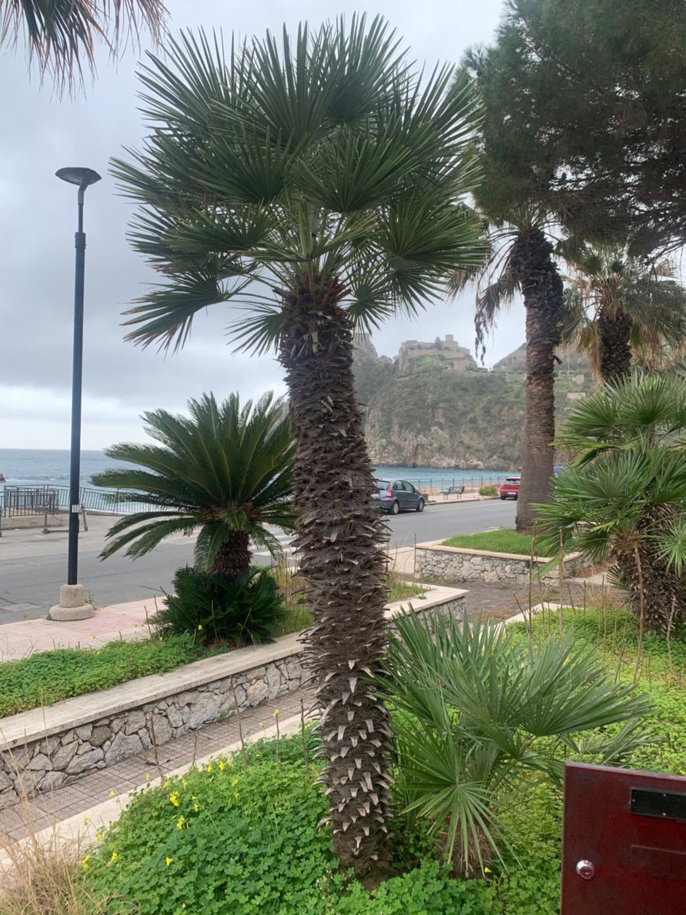 Appartamento Albatros fronte spiaggia view 3