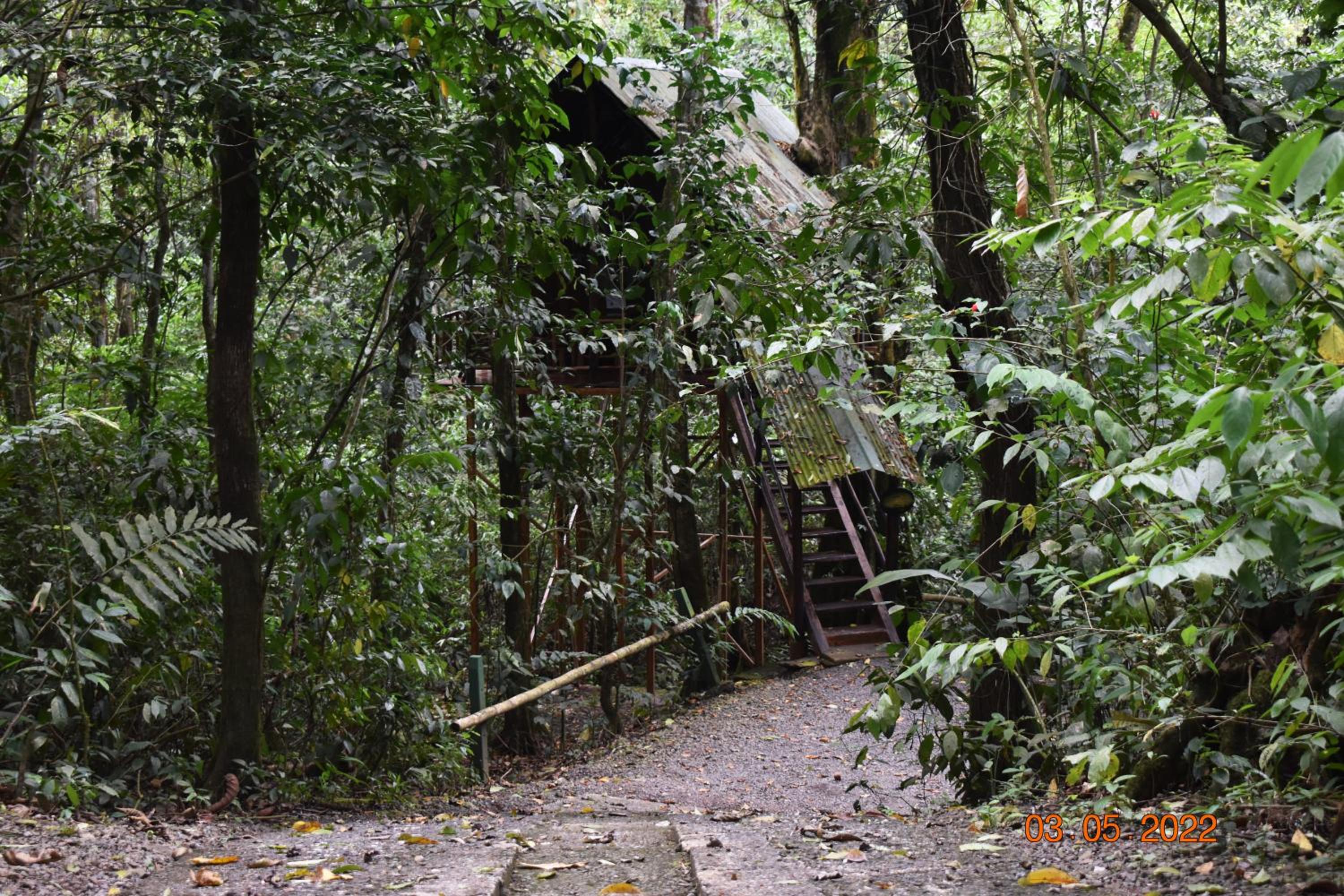 Tree Houses Hotel Costa Rica view 5