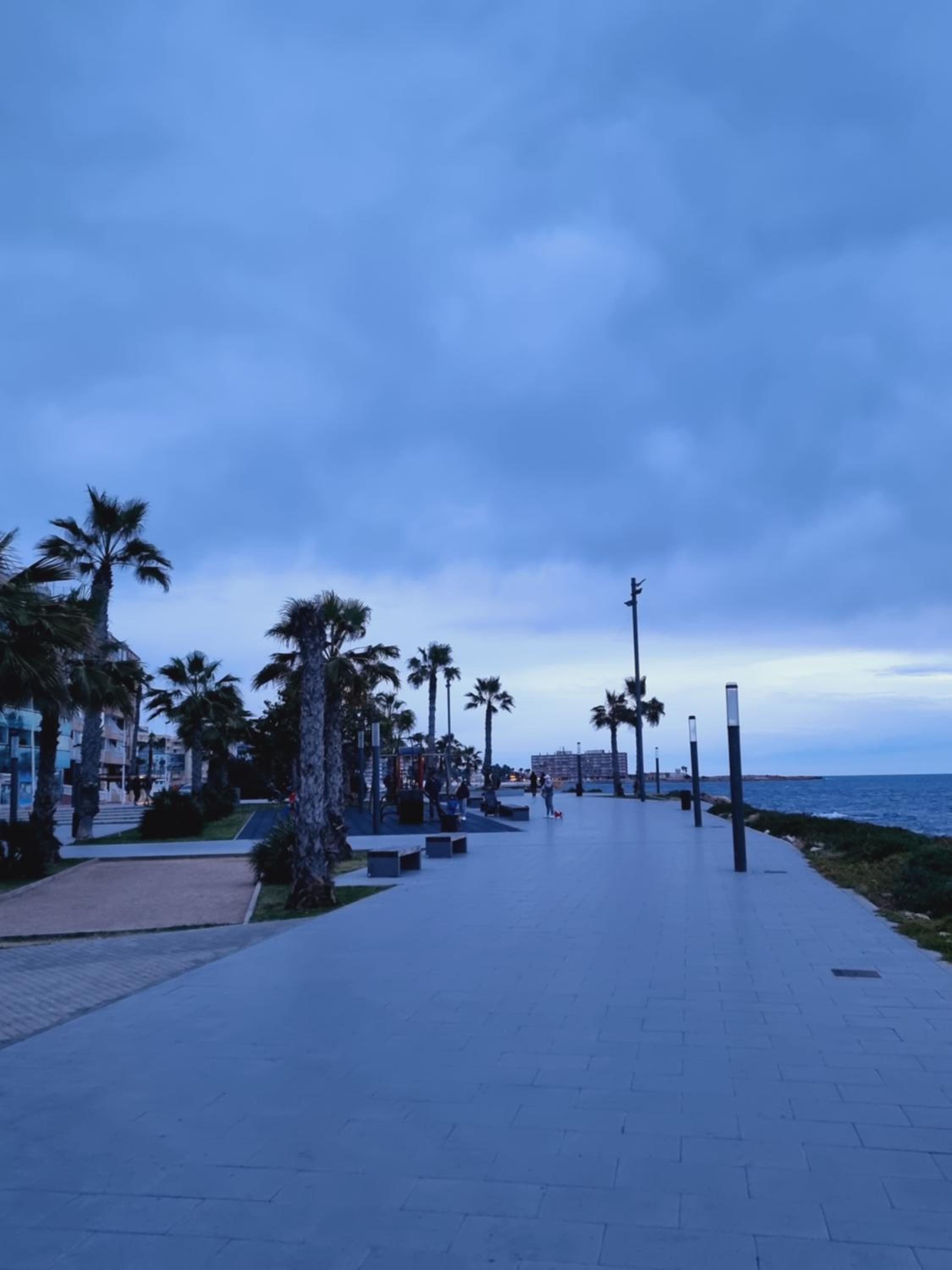 Evita Luxury Apartments - Near Playa Los Locos Beach with Pool