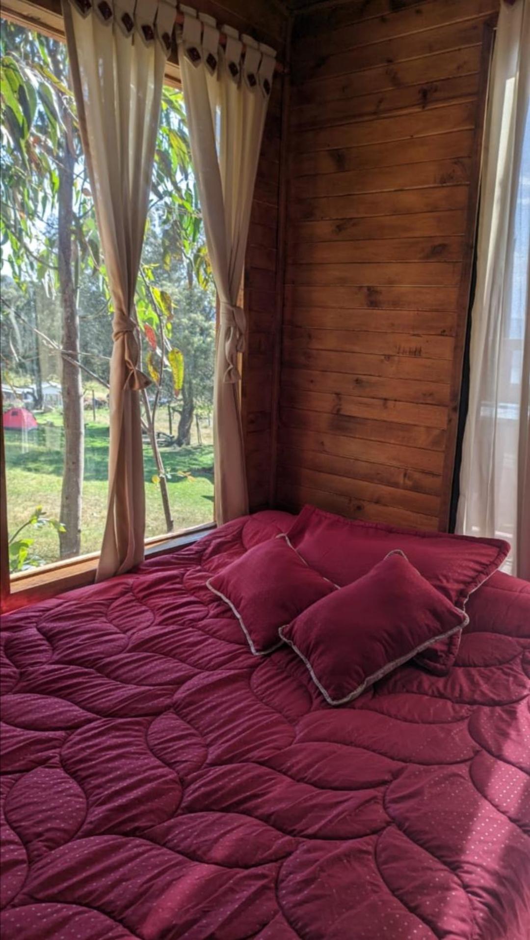 Casa en el Árbol Guatavita