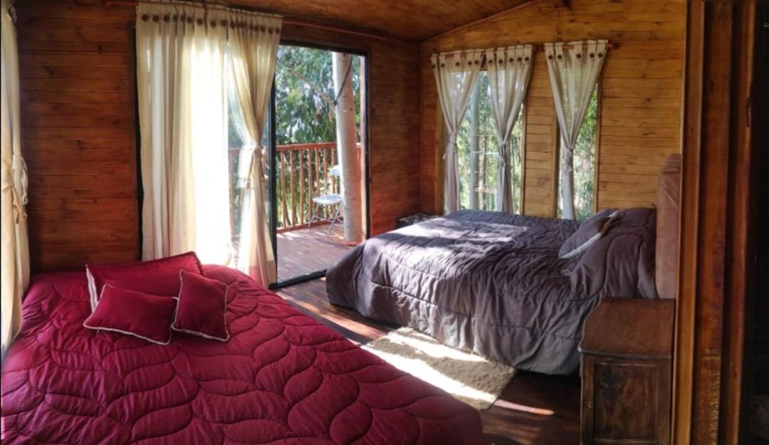 Casa en el Árbol Guatavita