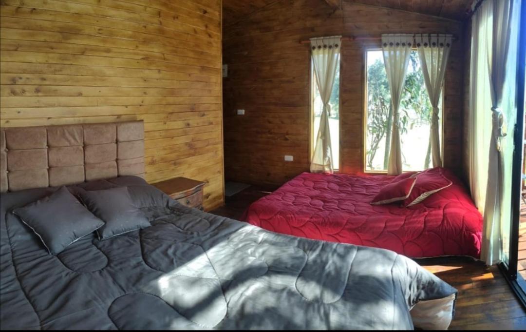 Casa en el Árbol Guatavita
