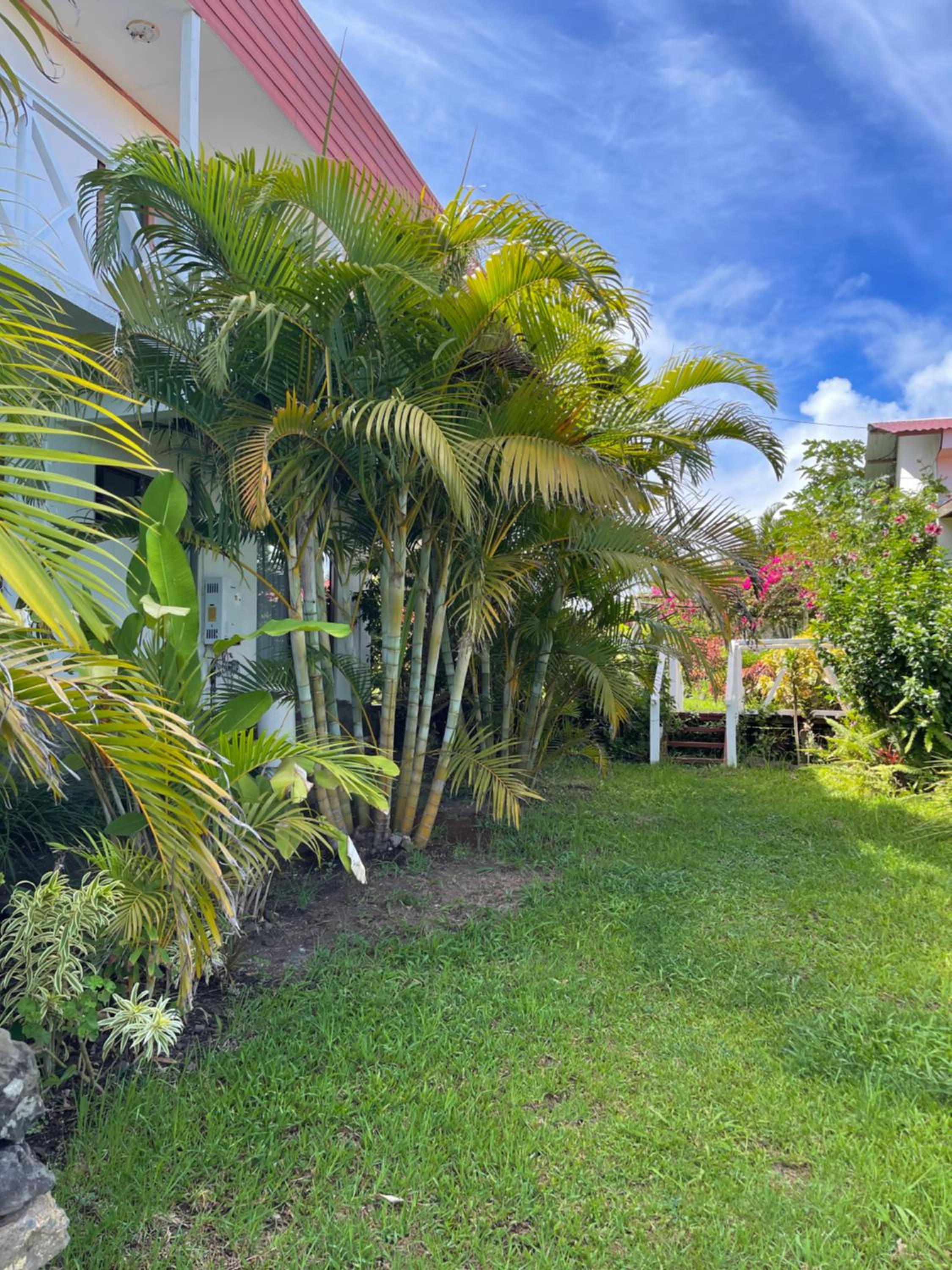 Teanehi Bed & Breakfast