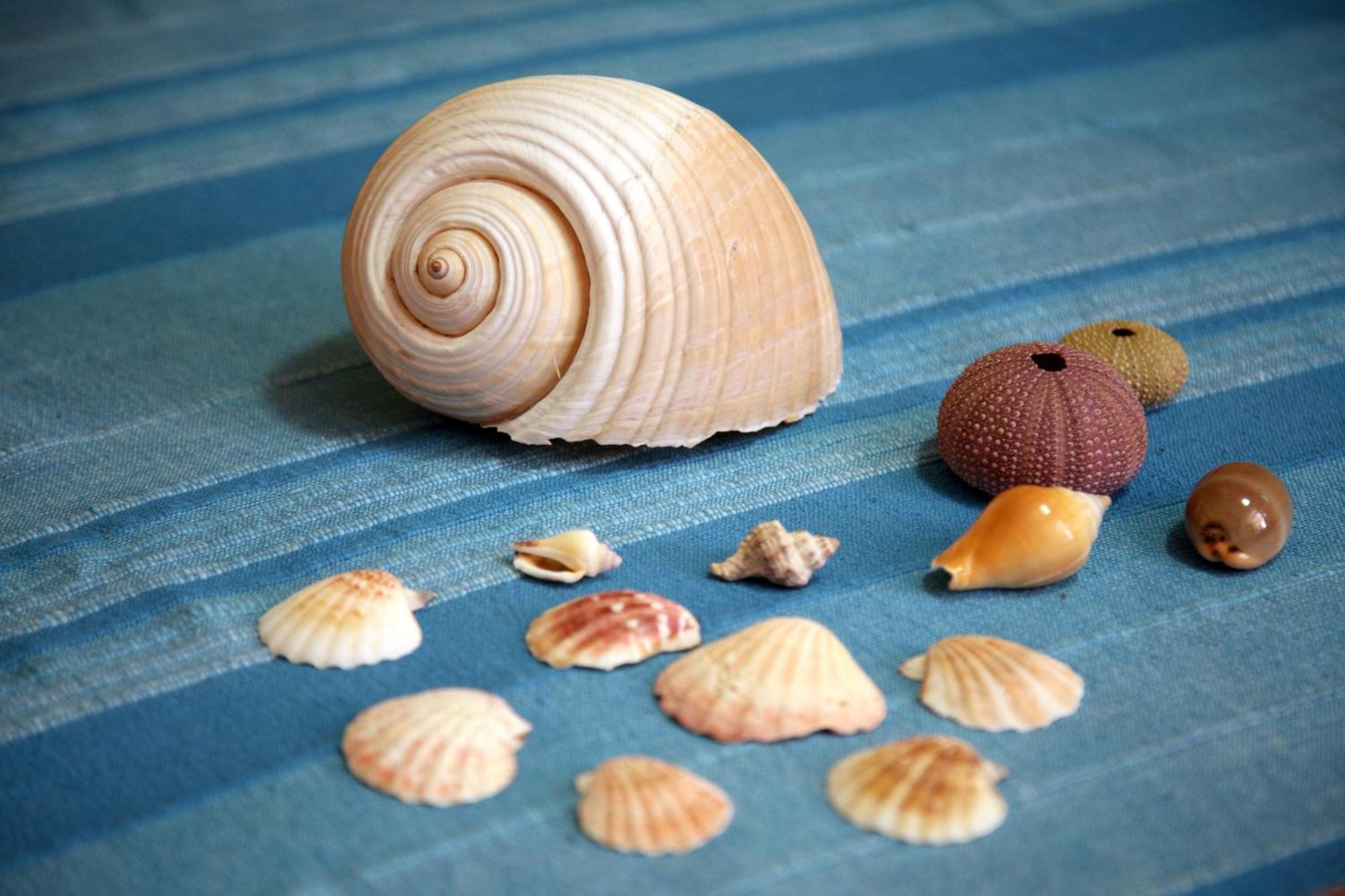 Terra Di Mare
