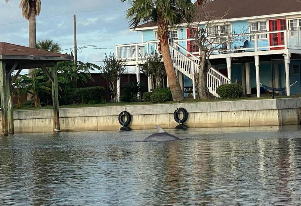 Paradise lagoon*bayhouse fishing*beach*Dogfriendly