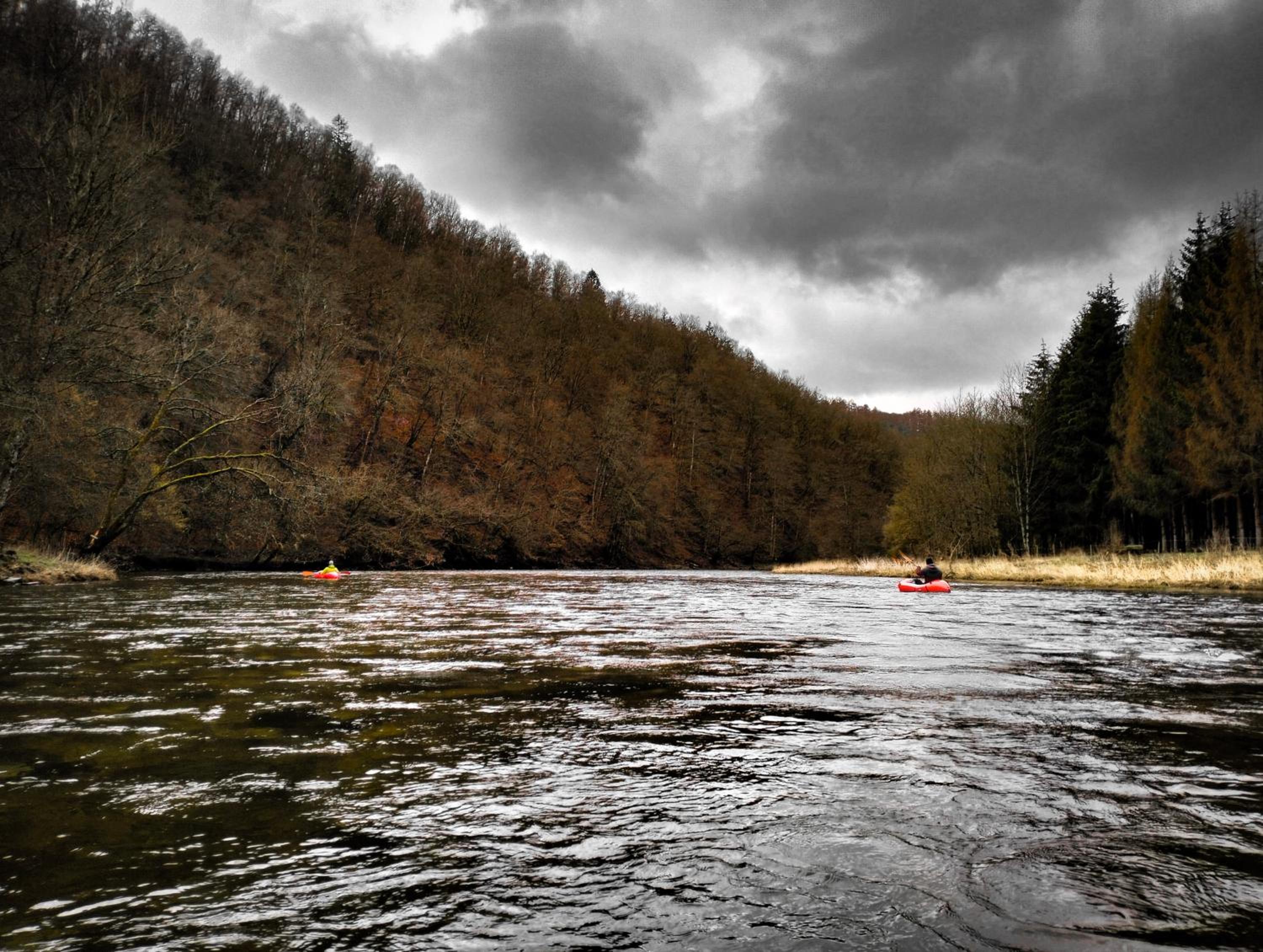 Nid'Ardennes