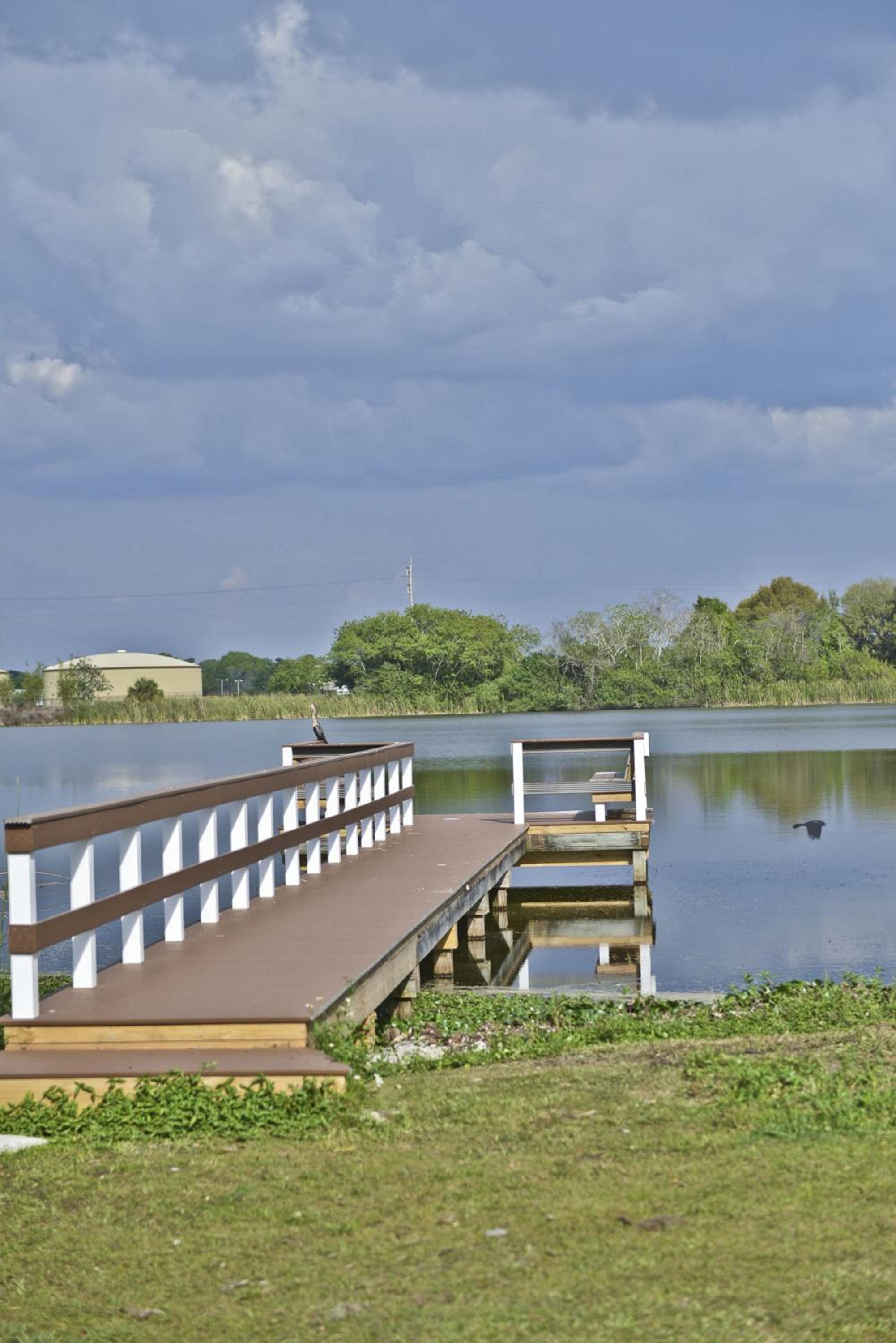 Lake Ida Beach Resort, Billede 10