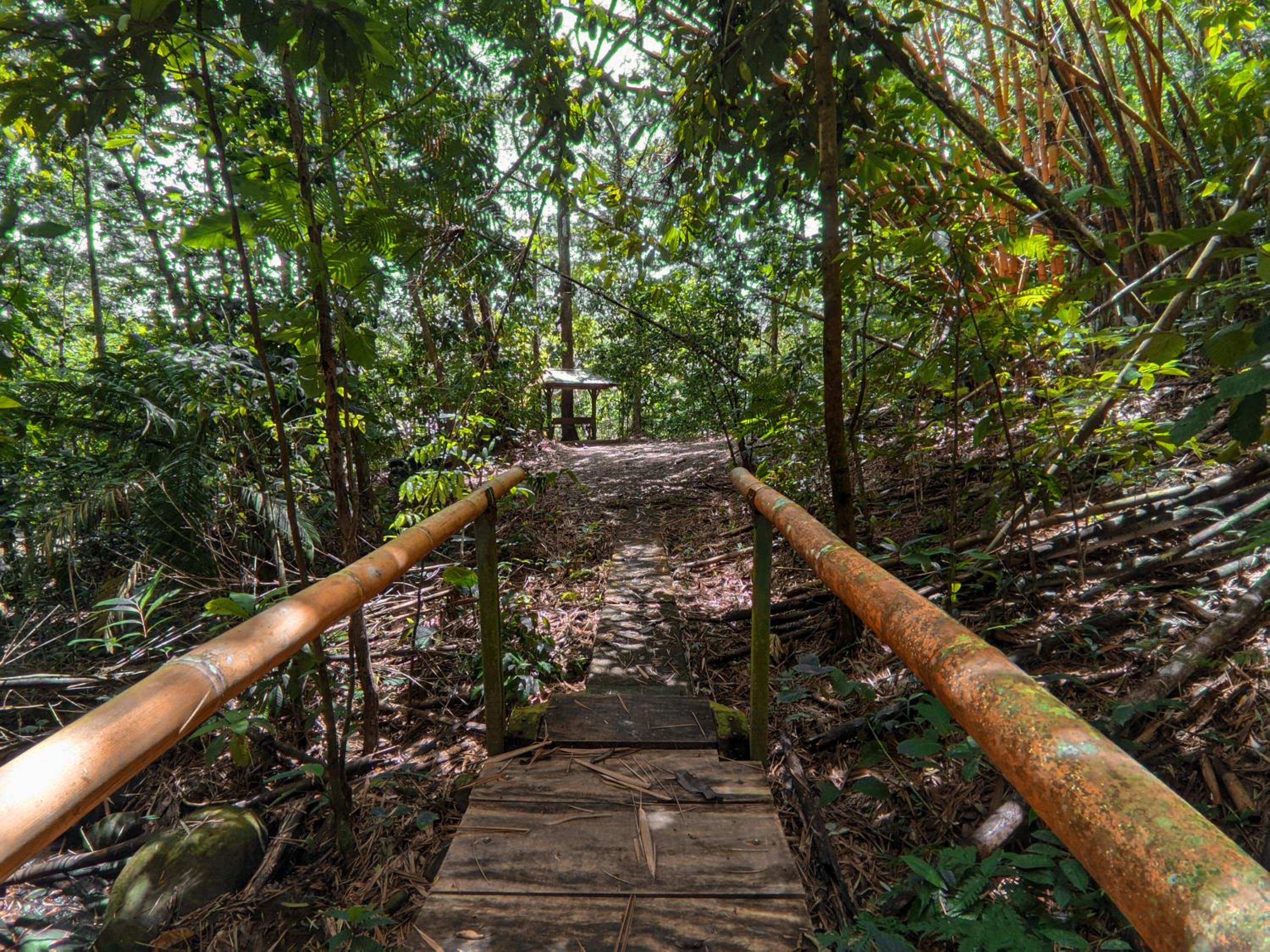 Tree Houses Hotel Costa Rica view 3